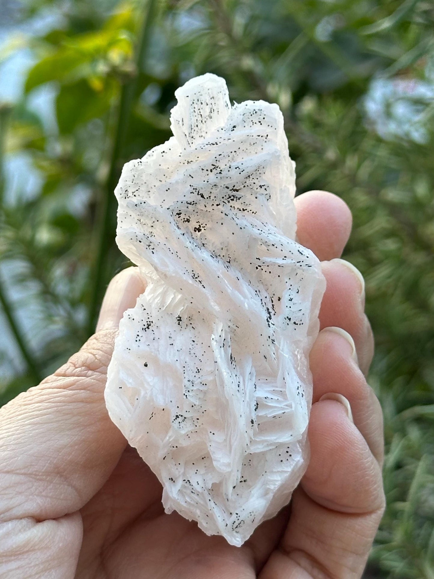 Calcite with Pyrite from Fujian, China - UV Reactive