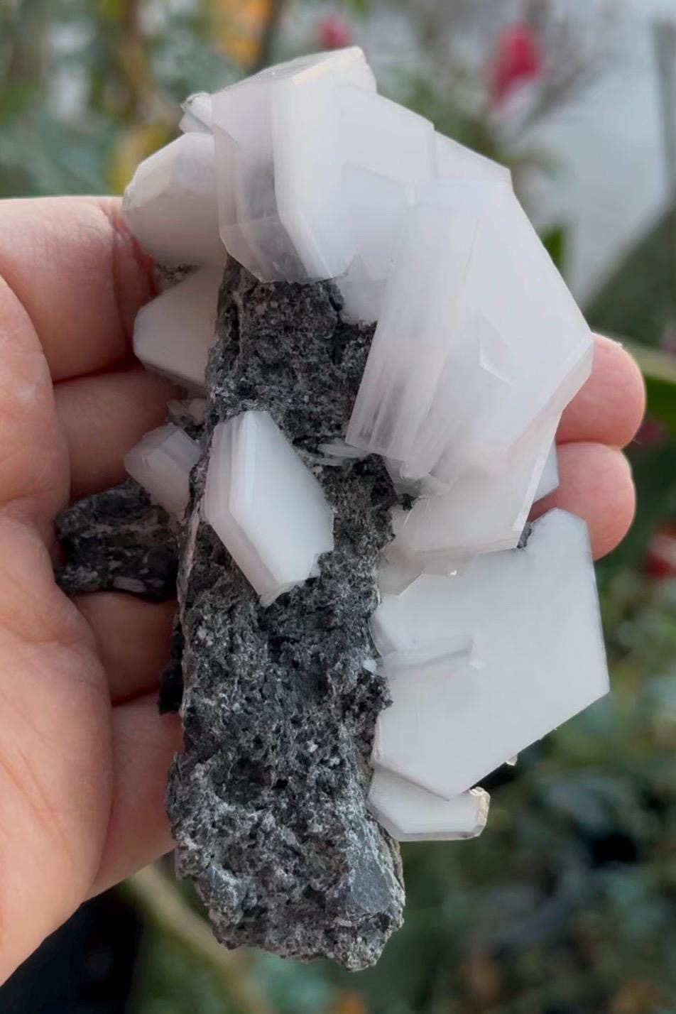 Sandwich Calcite