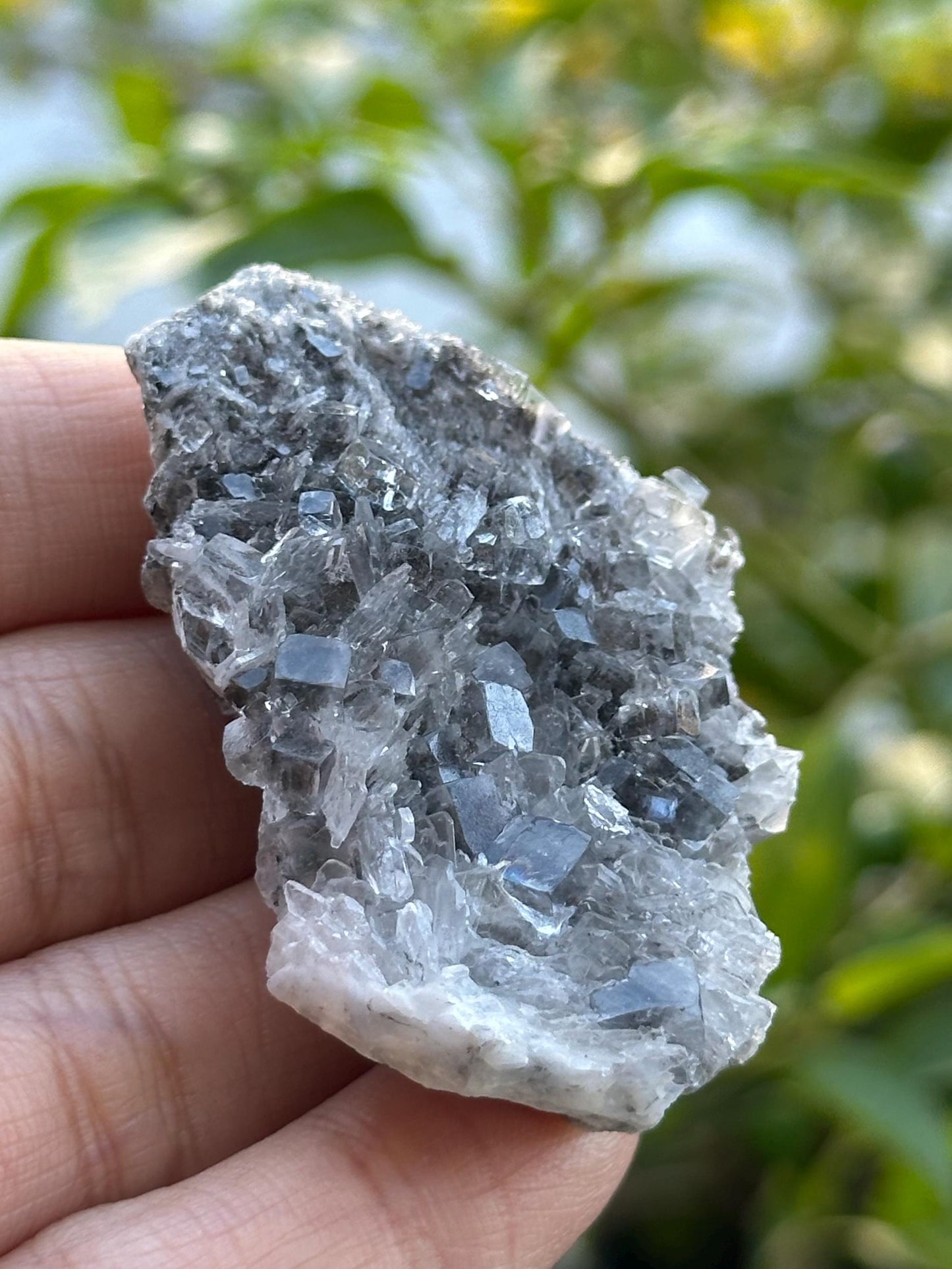 Fluorite with Barite from the Emilio Mine