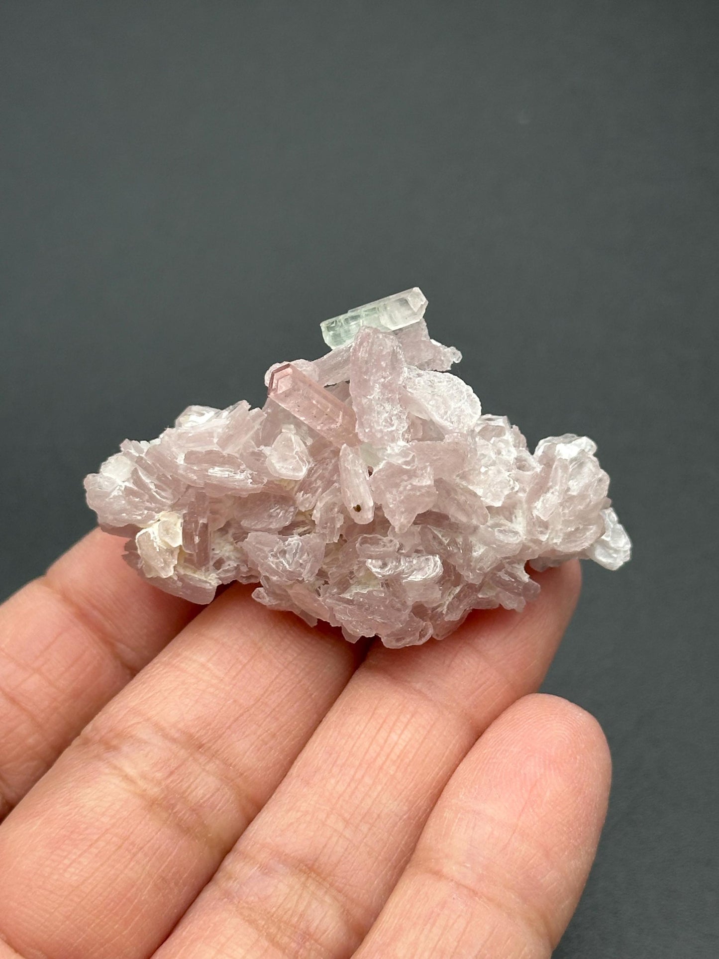 Pink Tourmaline with Lepidolite Flower