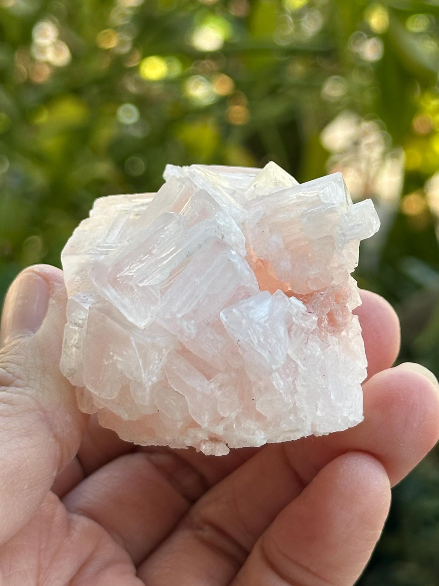 Light Pink Halite from Searles Lake, California