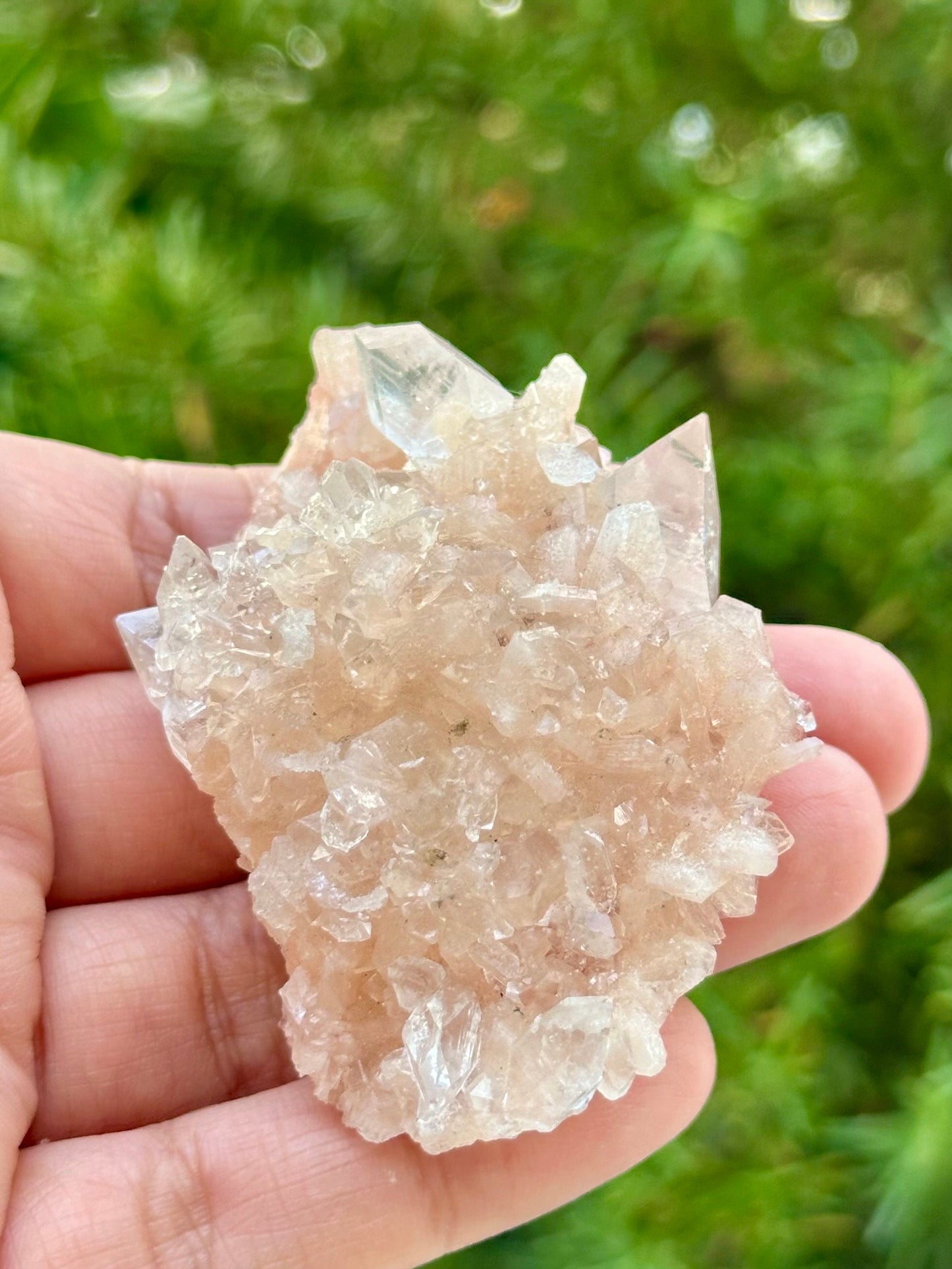 Apophyllite with Stilbite Specimen from India