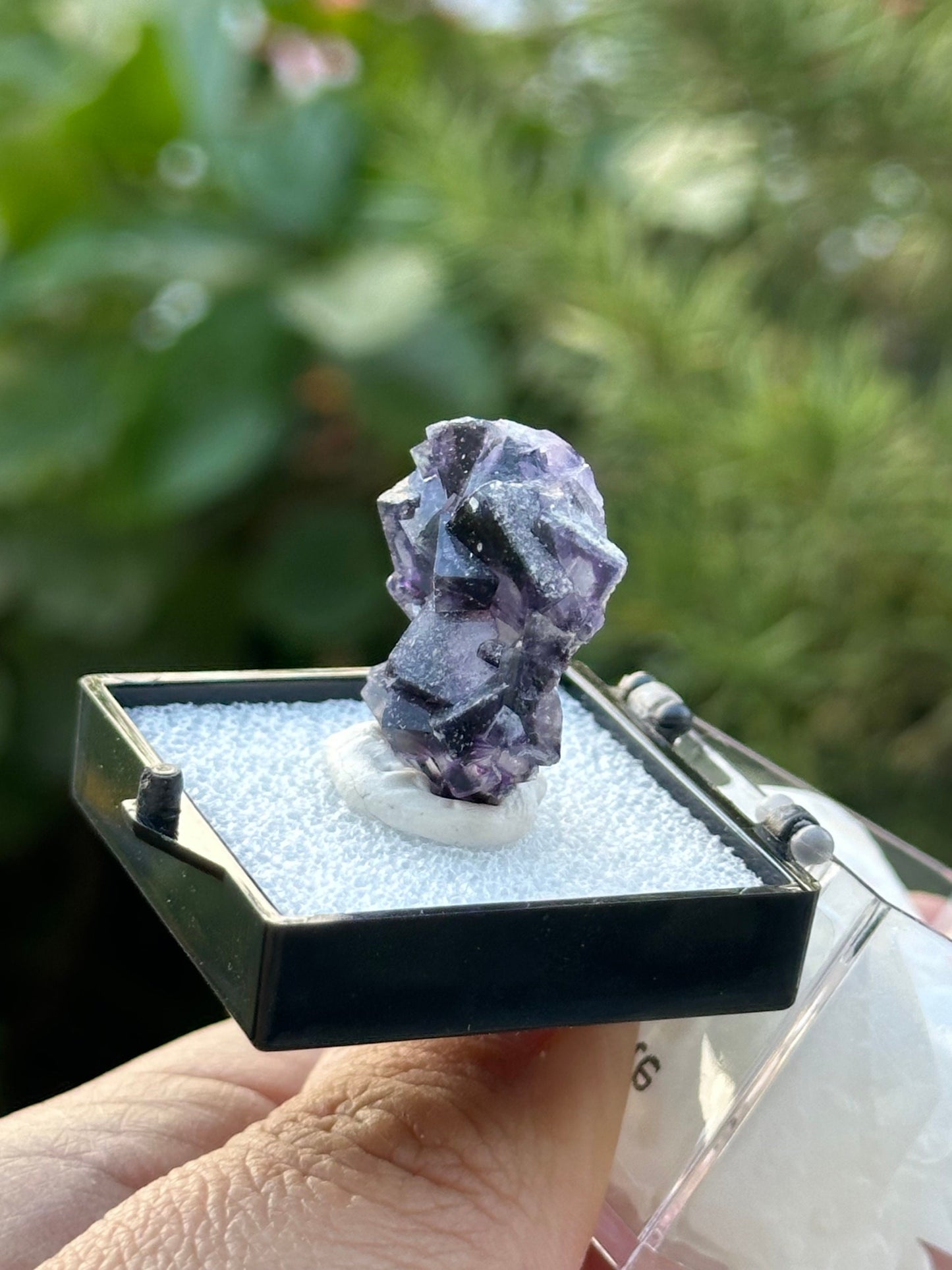 Fluorite in a perky box from the Yindu Mine, Inner Mongolia, China