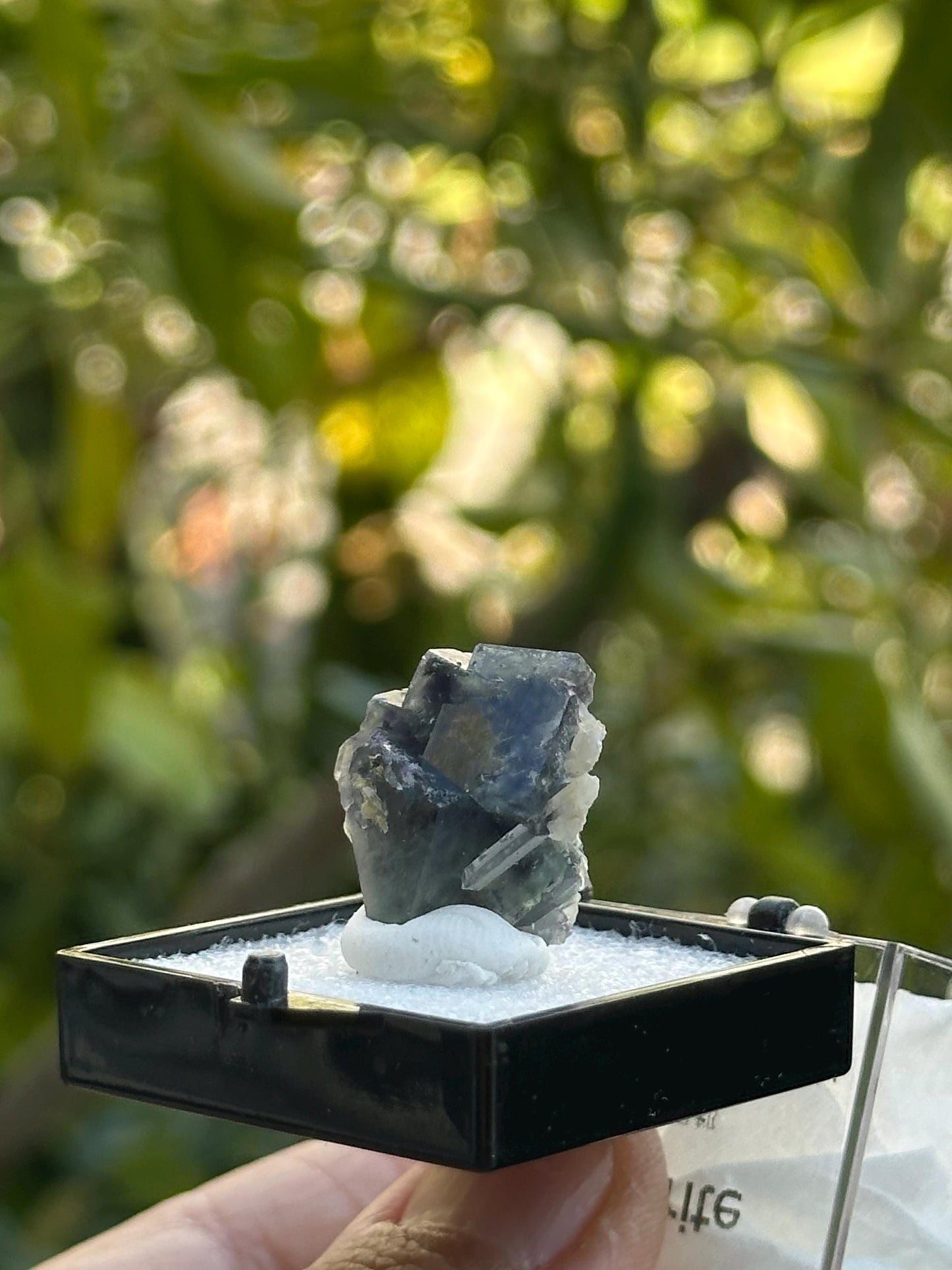 Fluorite with Quartz from the Yindu Mine
