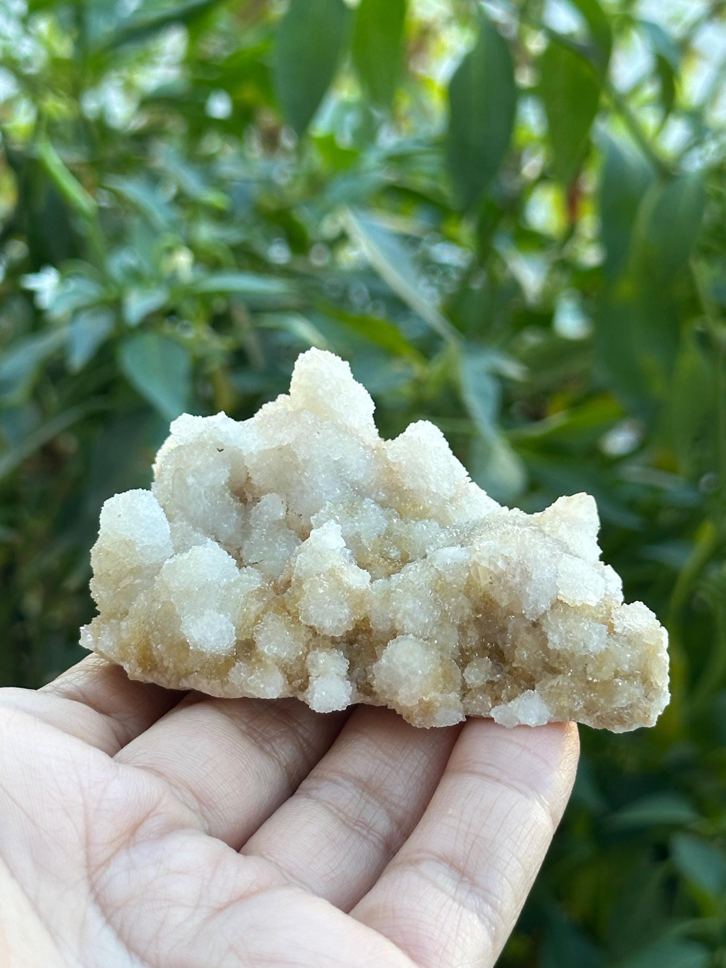 Fairy Quartz