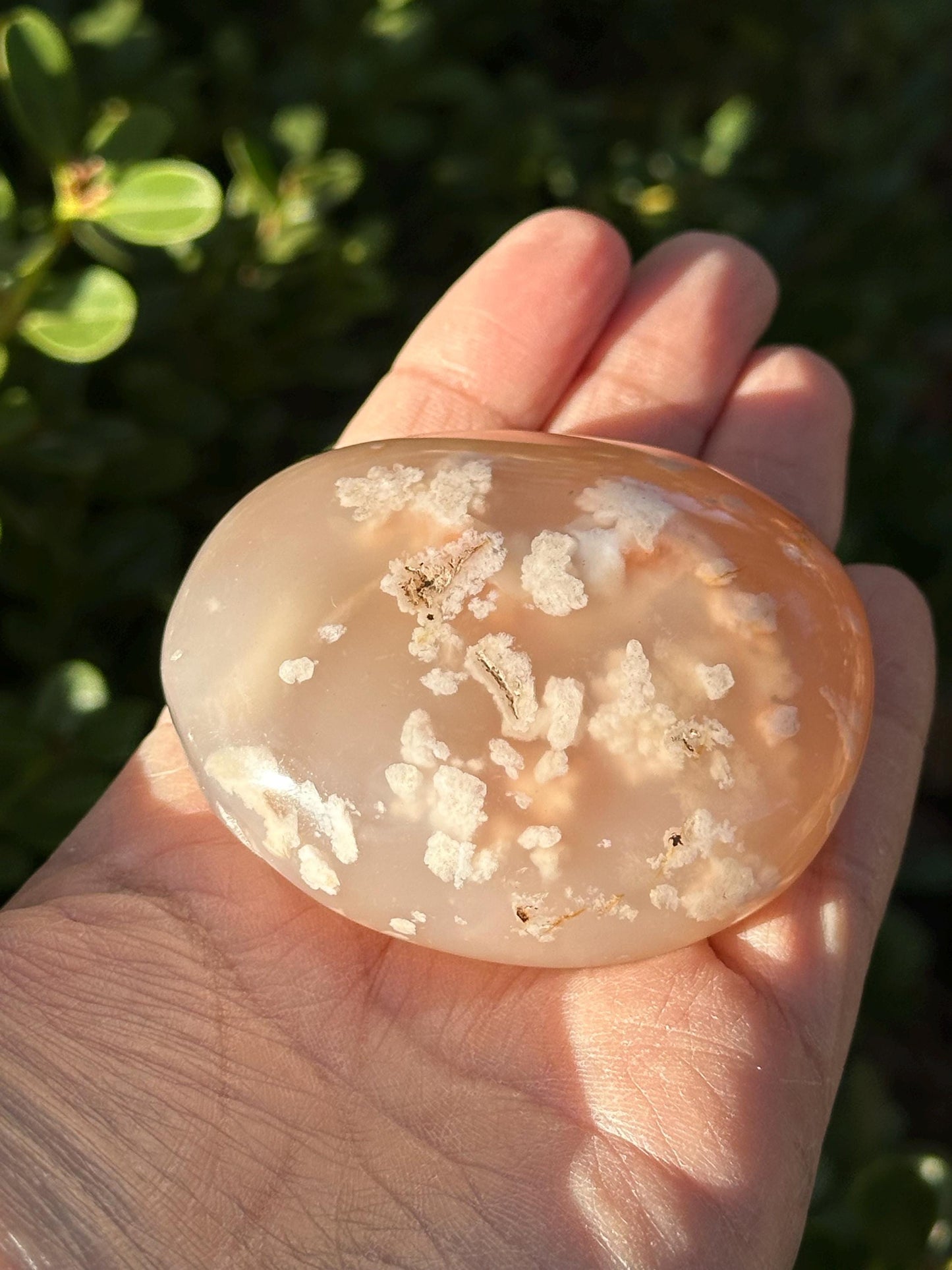 Flower Agate Palm Stone