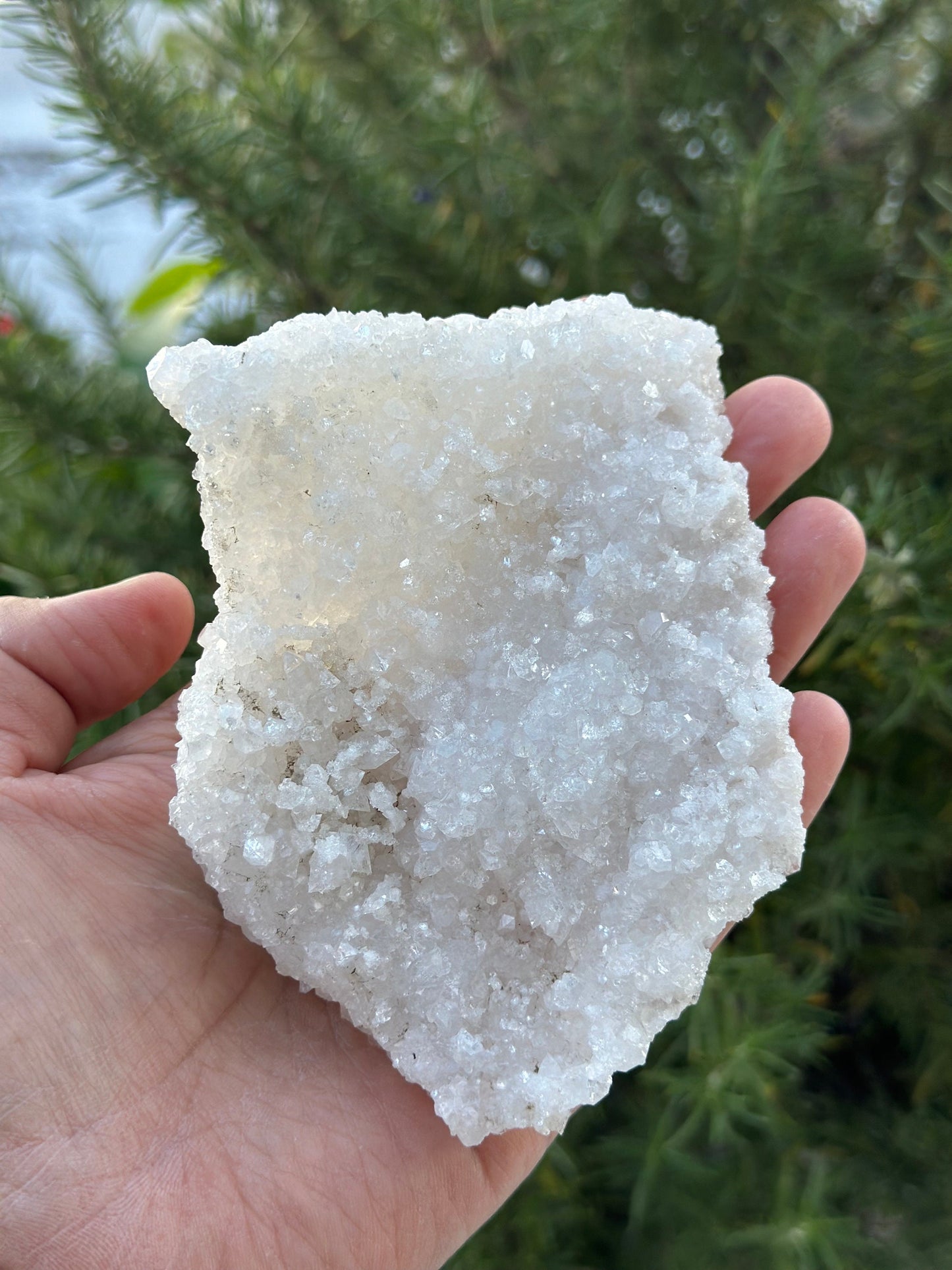Apophyllite from India