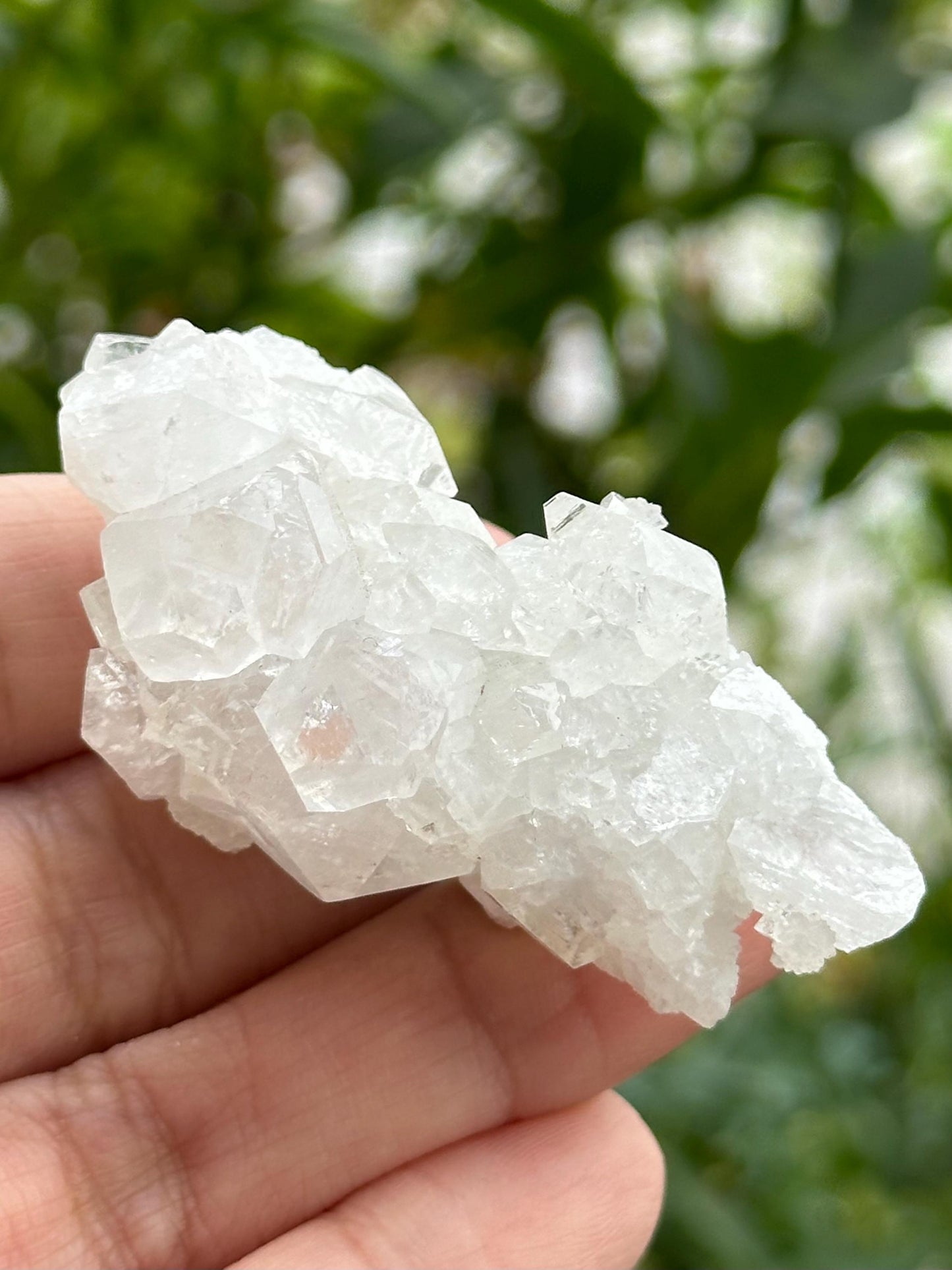 Apophyllite from India