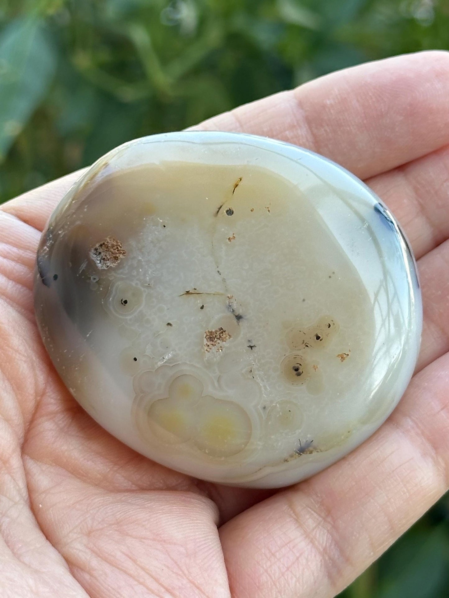 Dendritic Agate Palm Stone