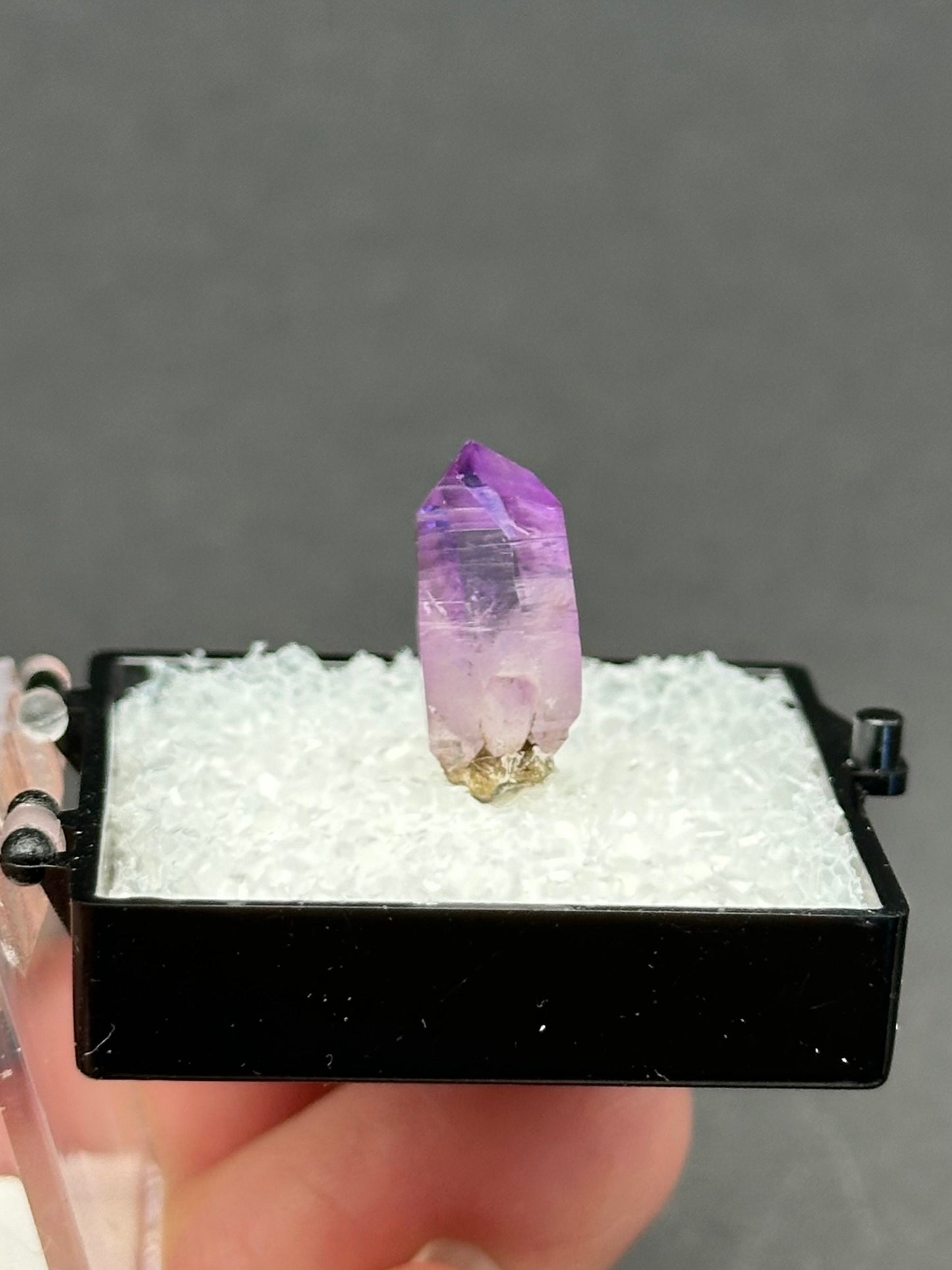 Veracruz Amethyst in a perky box