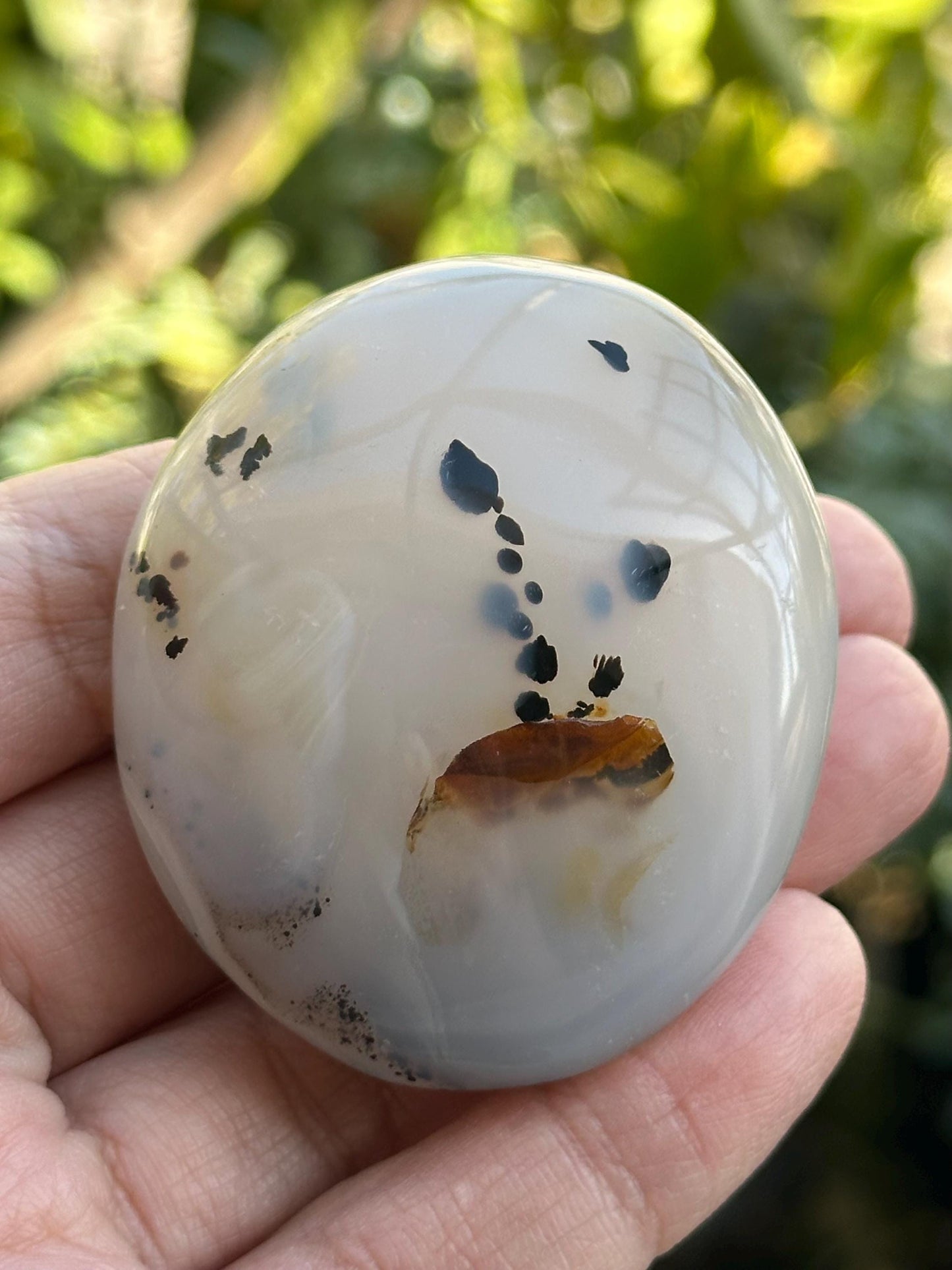 Small Dendritic Agate Palm Stone from Madagascar