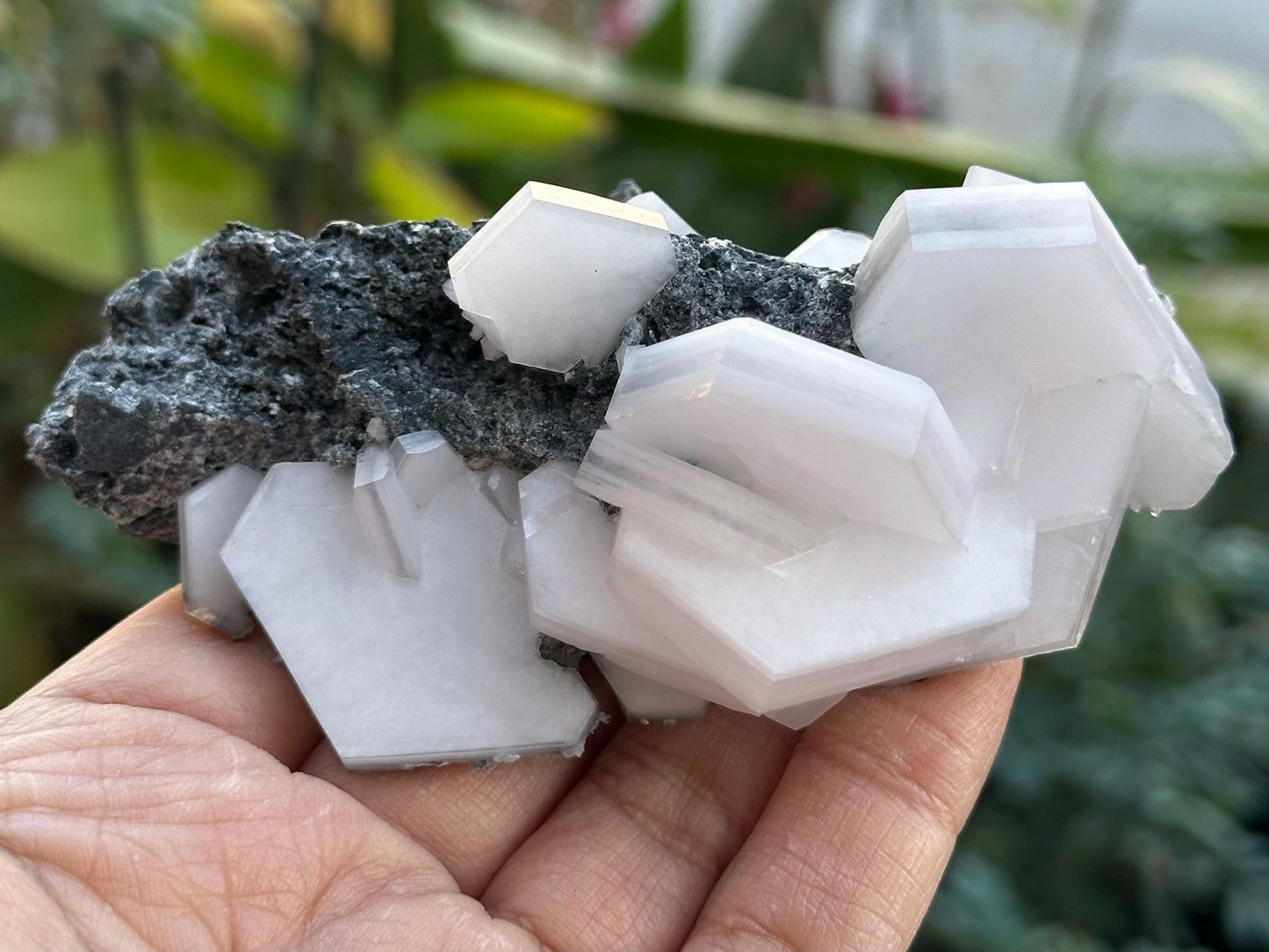 Sandwich Calcite
