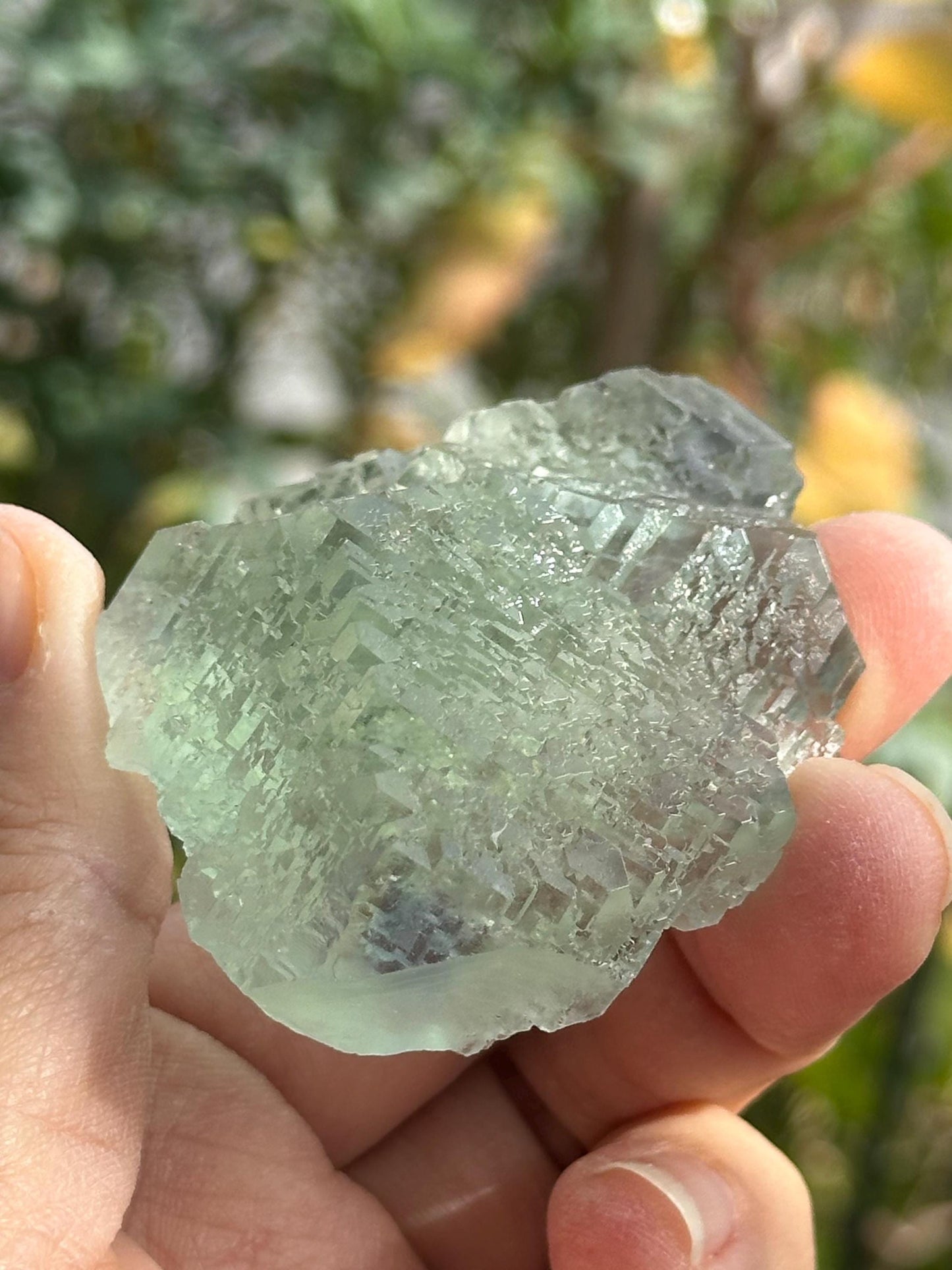Fluorite from the Manaoshan Mine in China