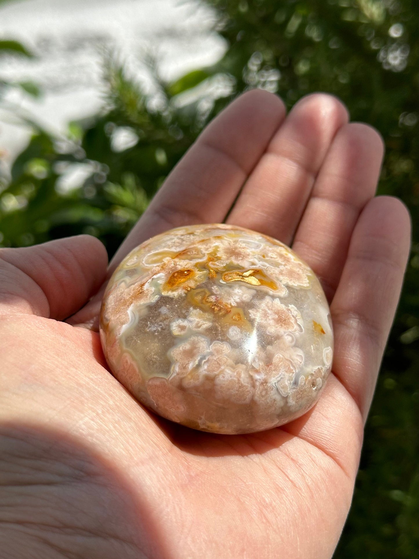Flower Agate Palm Stone