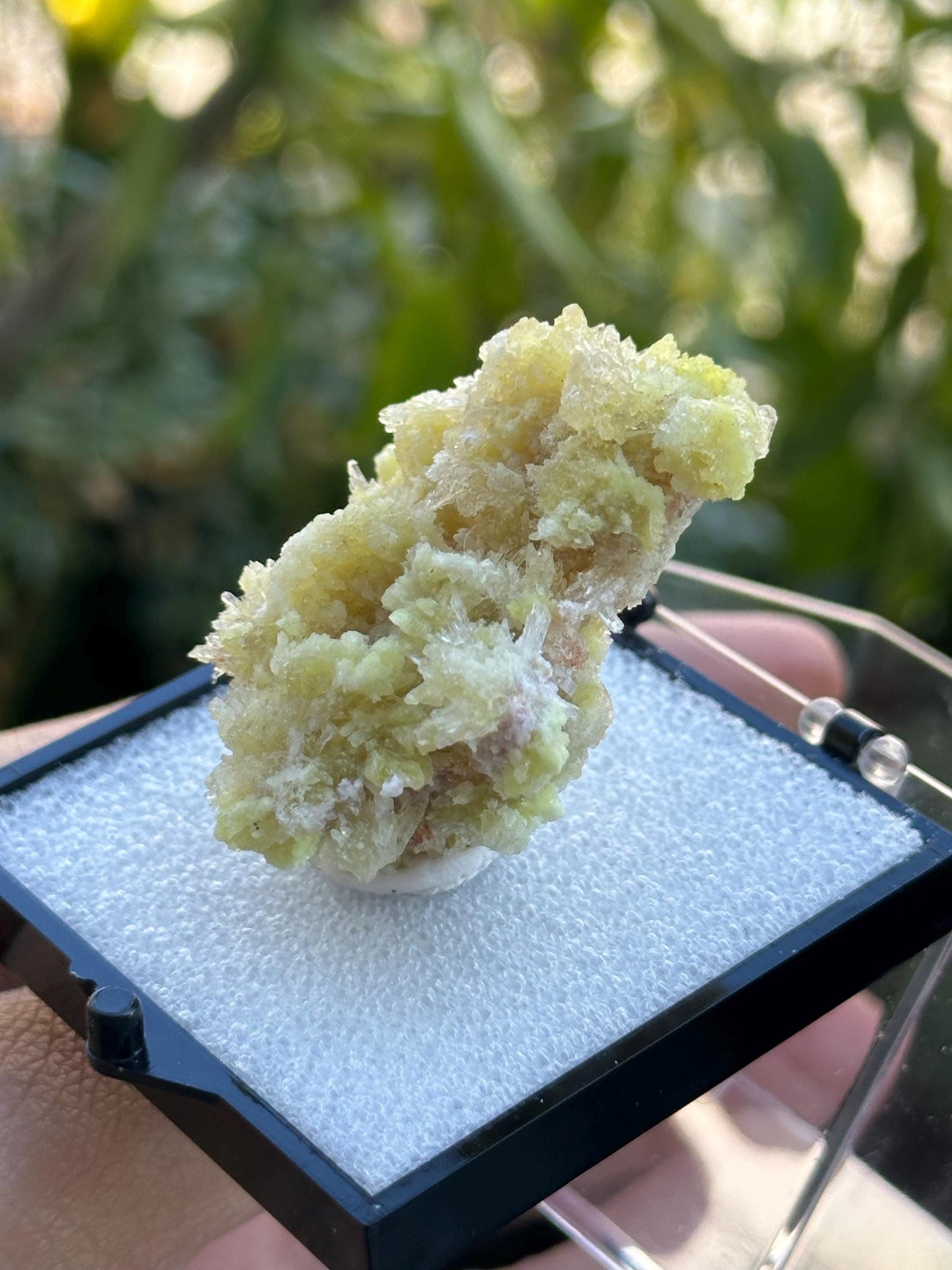 Creedite with Selenite in a perky box from Guizhou, Dachang, China