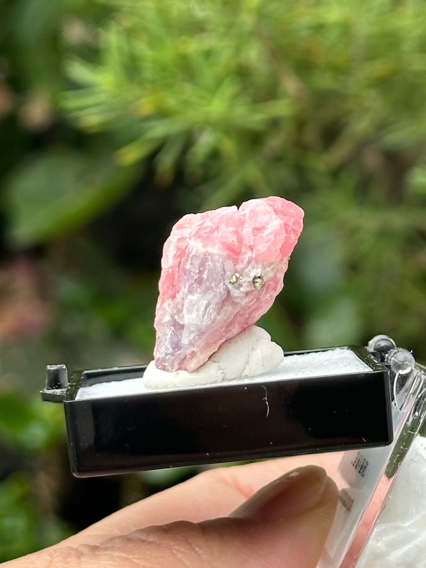 Rhodochrosite Specimen in a small perky box from Wutong Mine