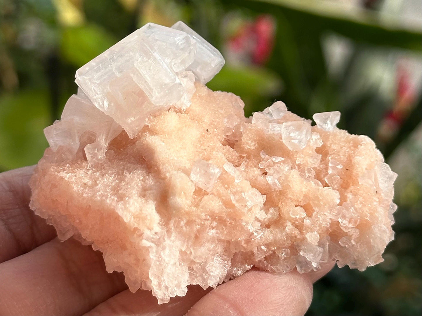 Light Pink Halite on Trona