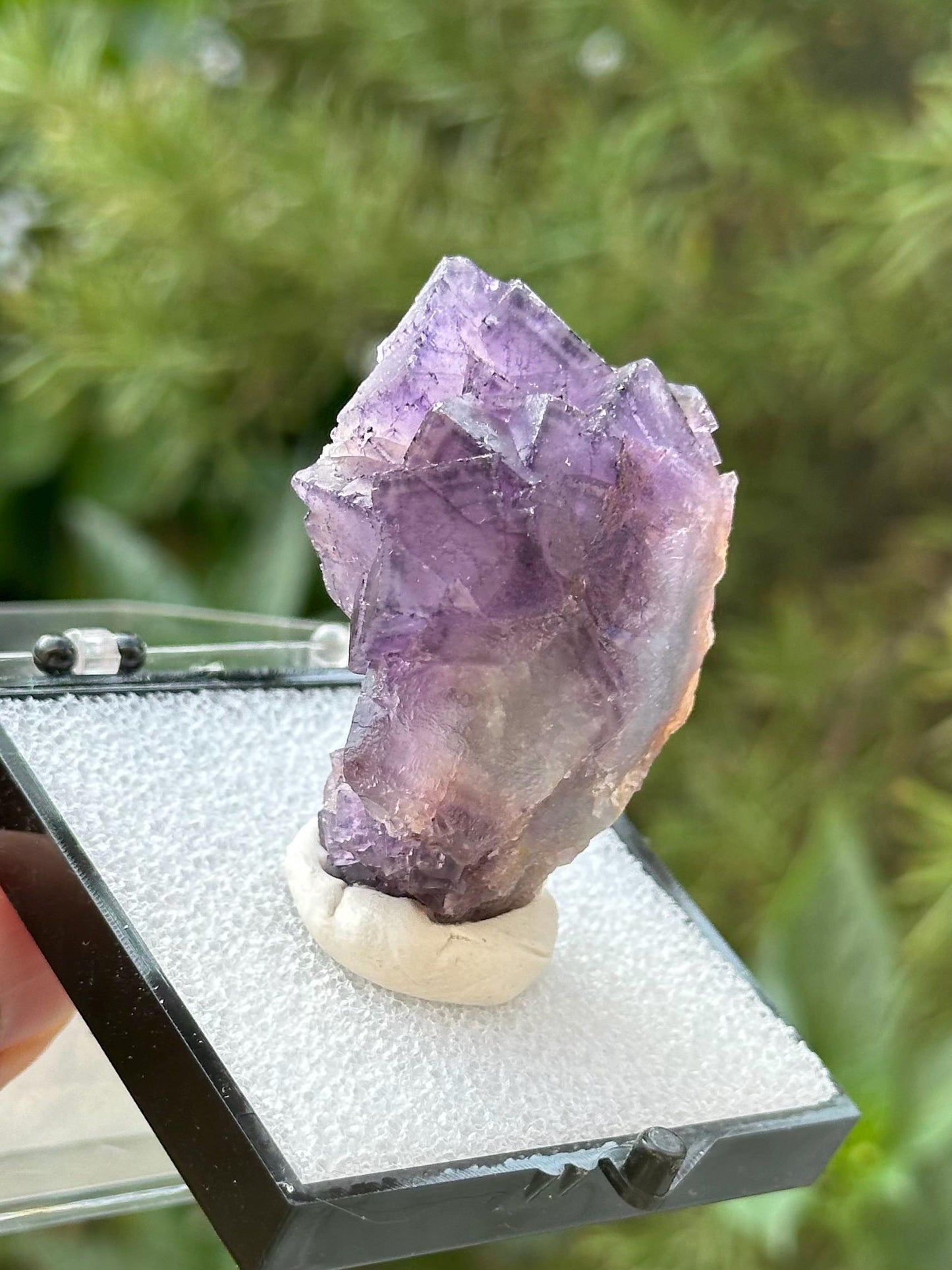 Fluorite Specimen in a perky box from Quinlong Mine, Guizhou, China