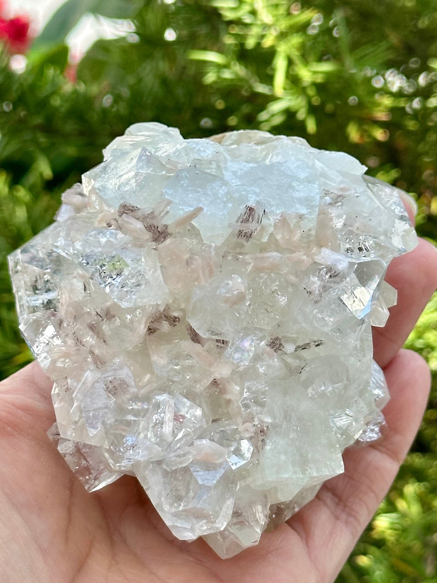 Apophyllite Specimen