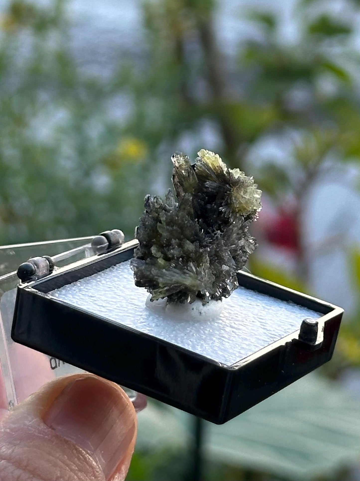 Fluoroaluminate Gypsum from China