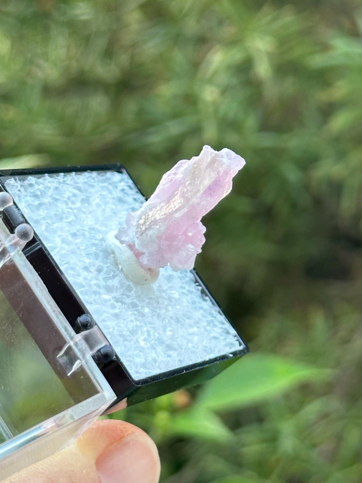 Crystallized Rose Quartz from Afghanistan