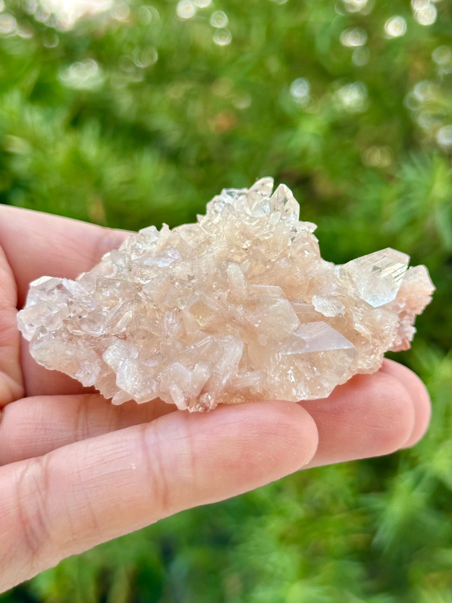 Apophyllite with Stilbite Specimen from India