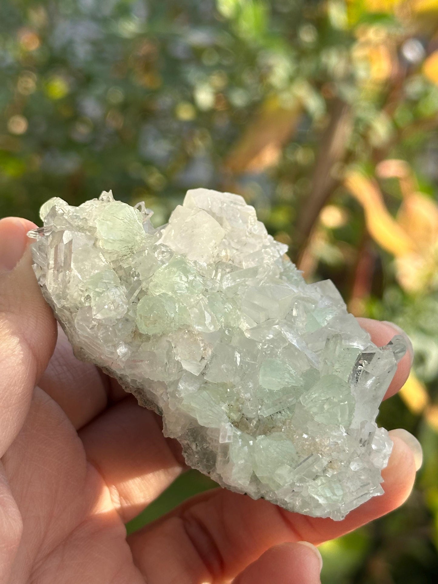 Prehnite, Calcite, and Quartz from the Goboboseb Mountains in the Erongo Region of Namibia