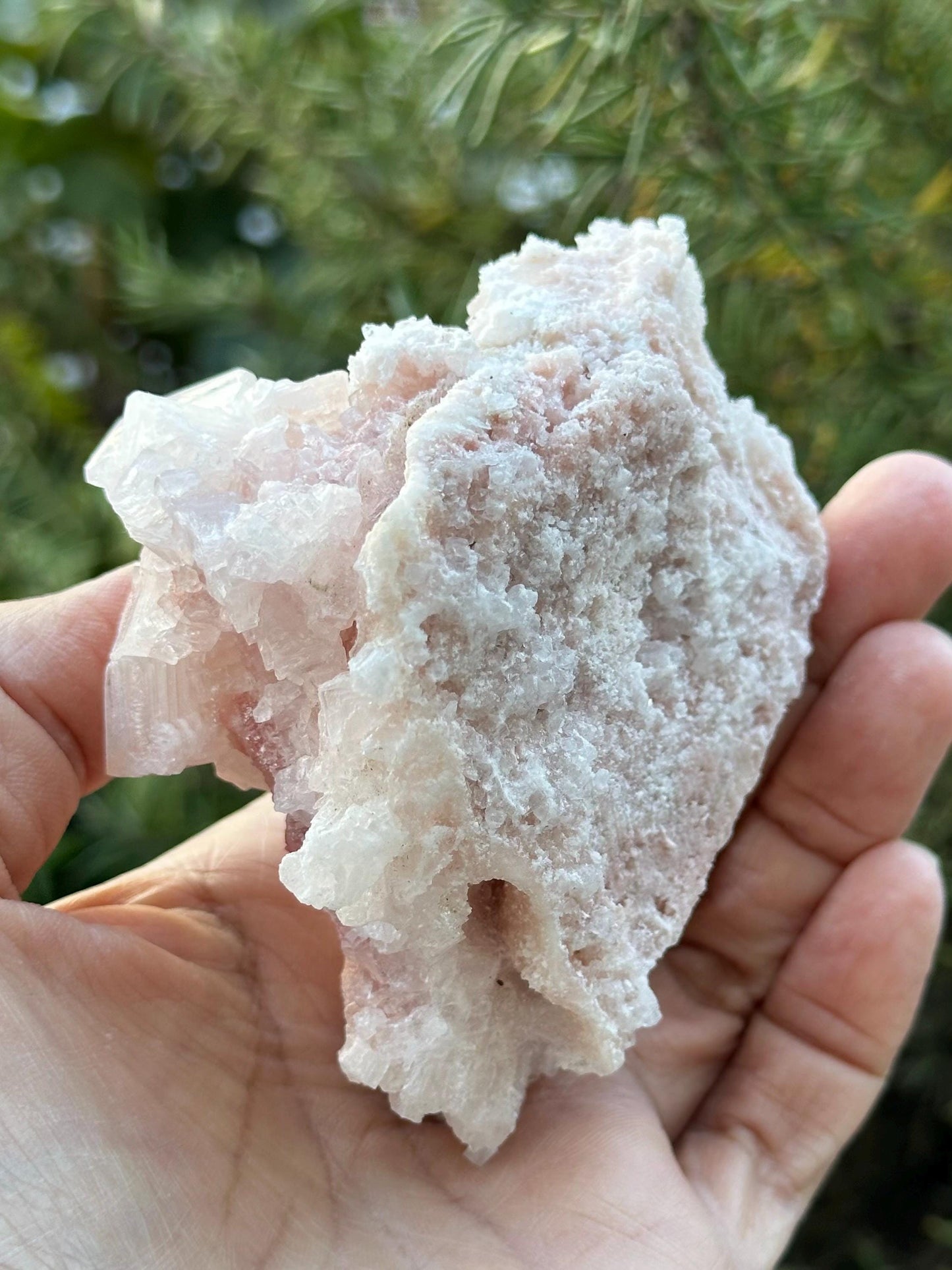 Light Pink Halite on Trona from Searles Lake, California