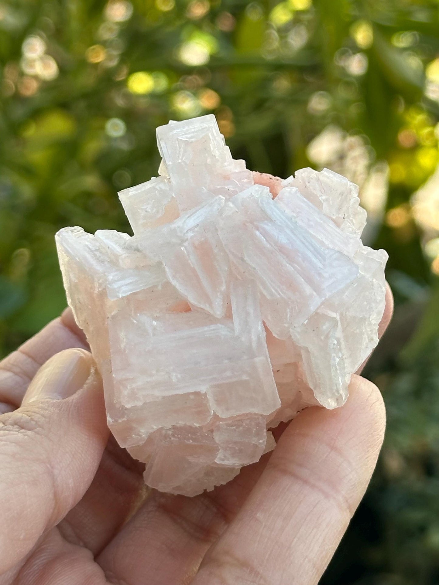 Light Pink Halite from Searles Lake, California