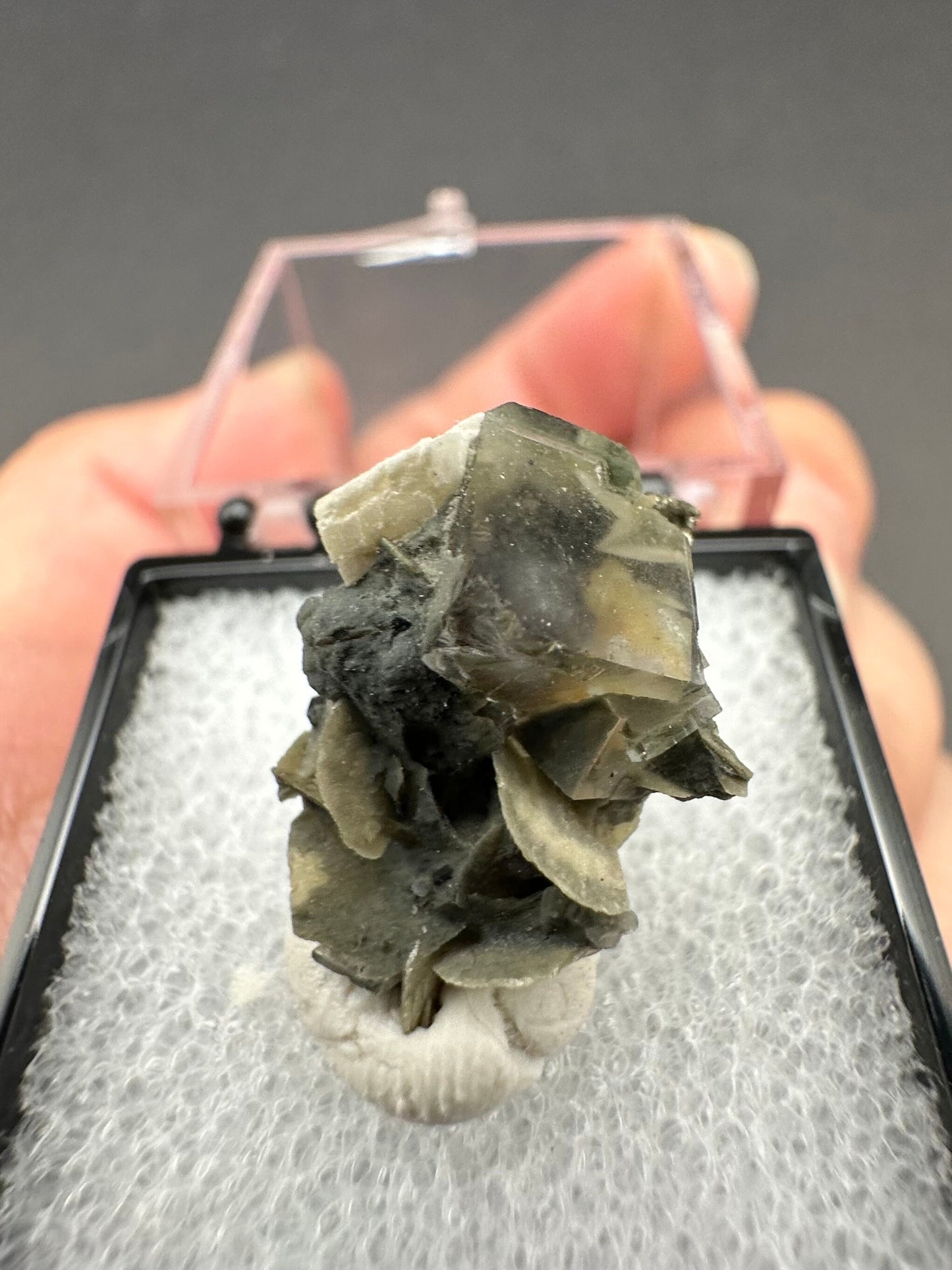 Fluorite from the Yindu Mine, Inner Mongolia, China