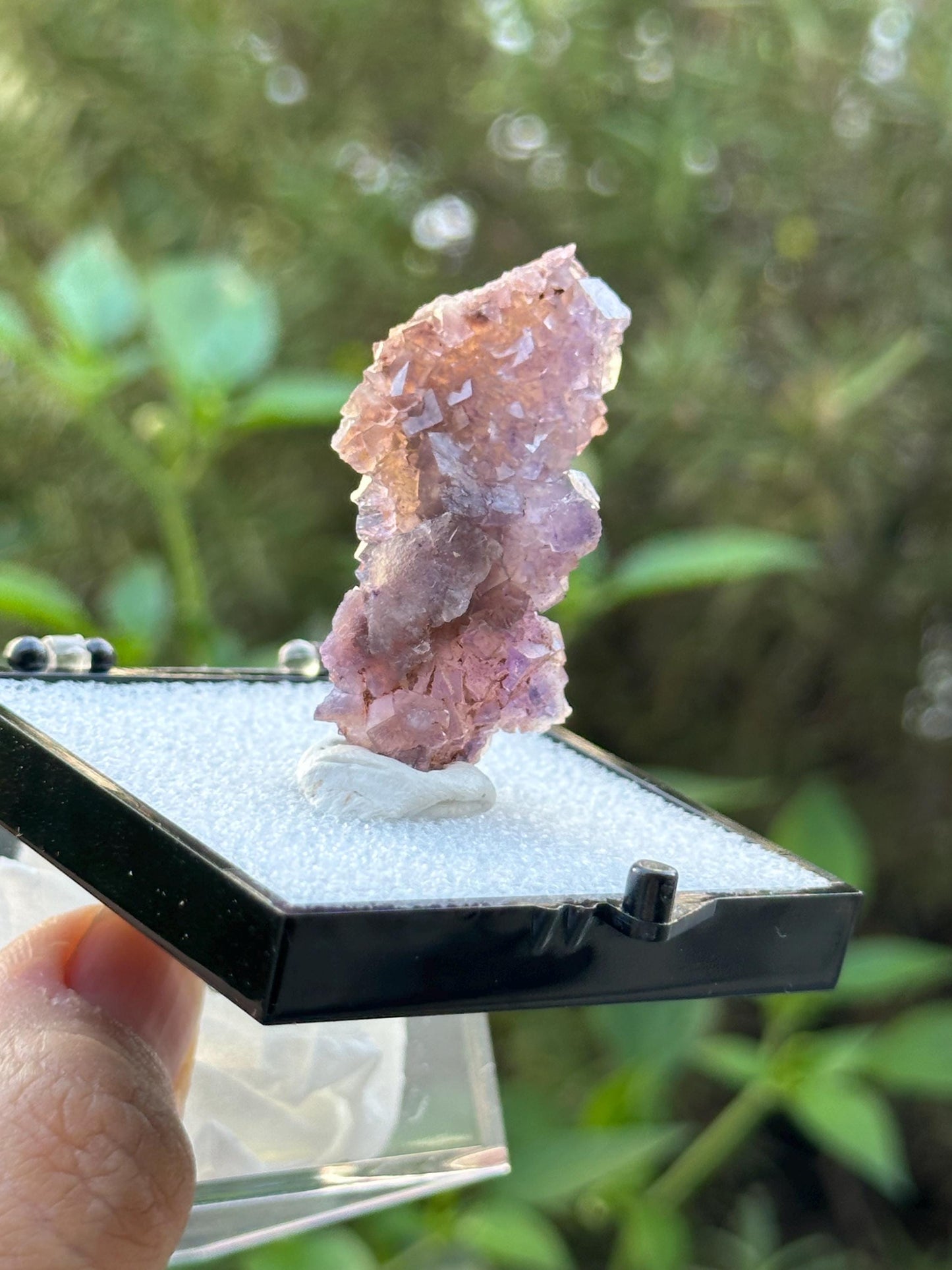 QR Code Fluorite in a perky box from the Quinlong Mine