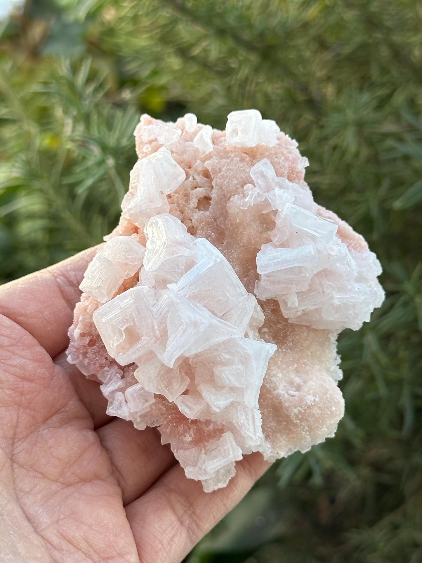 Light Pink Halite on Trona