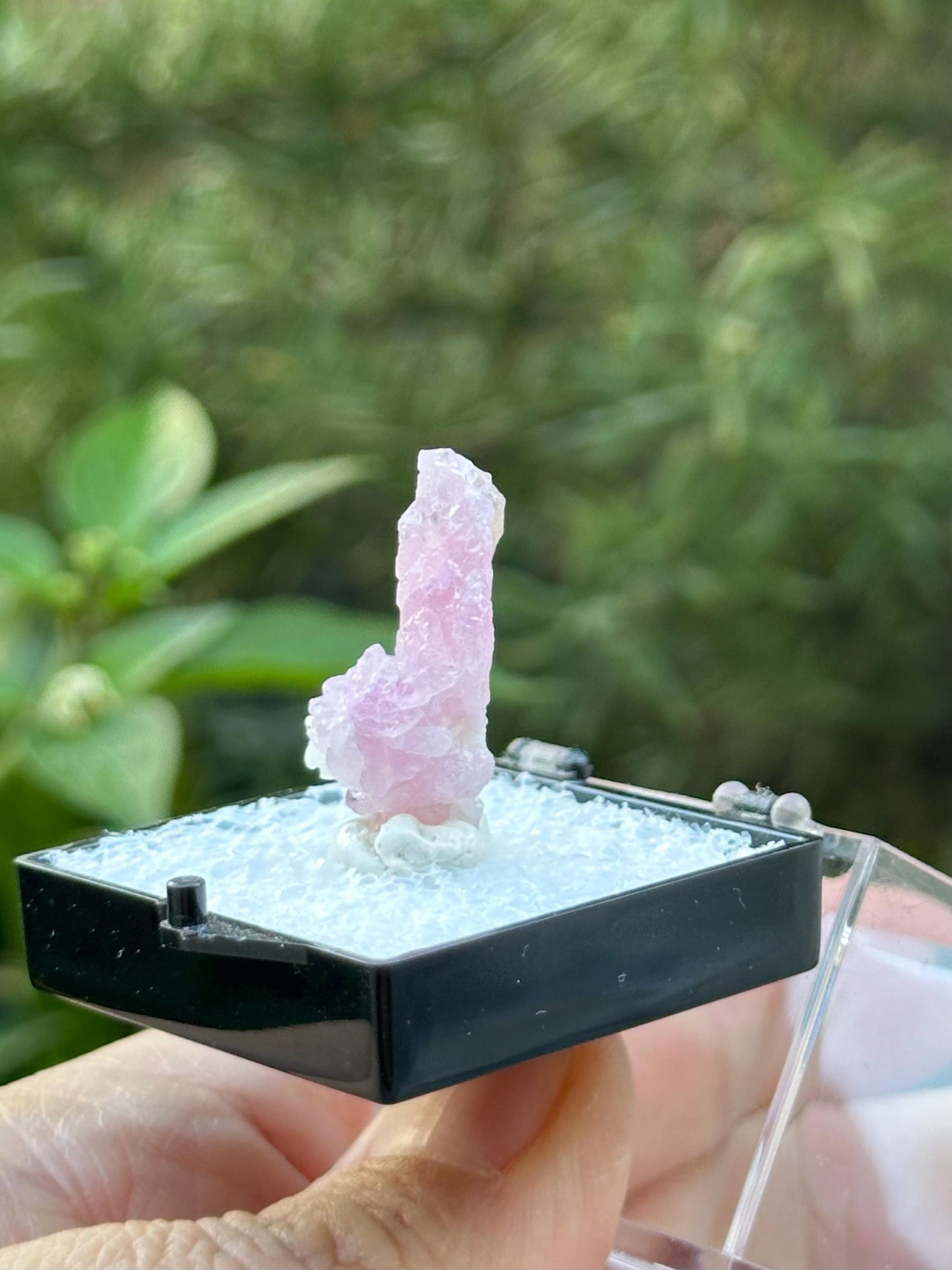 Crystallized Rose Quartz from Afghanistan