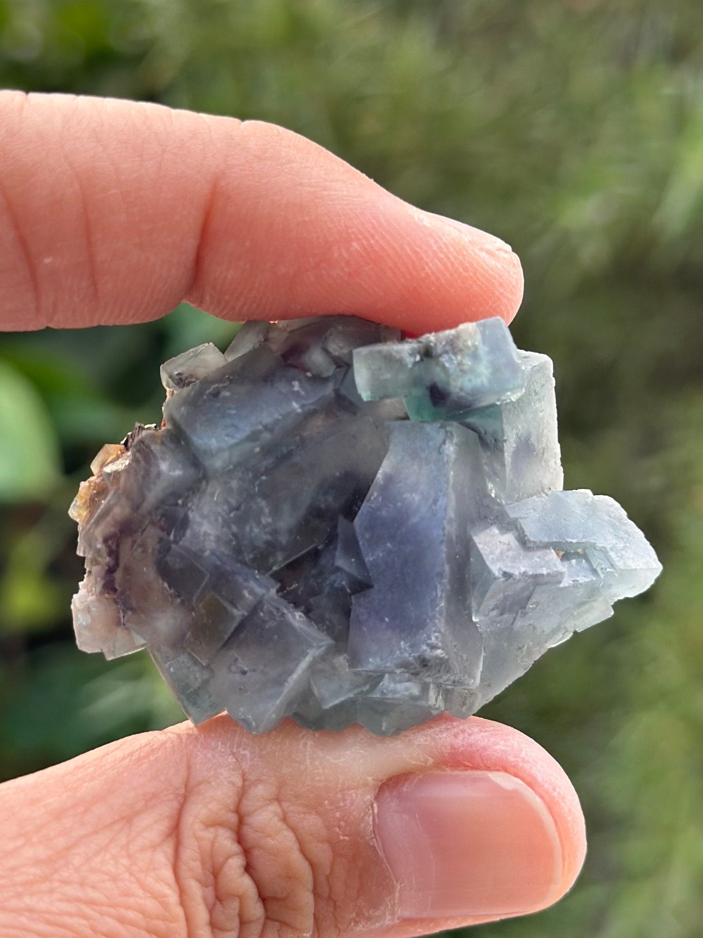 Fluorite in perky box from the Yindu Mine, Inner Mongolia, China