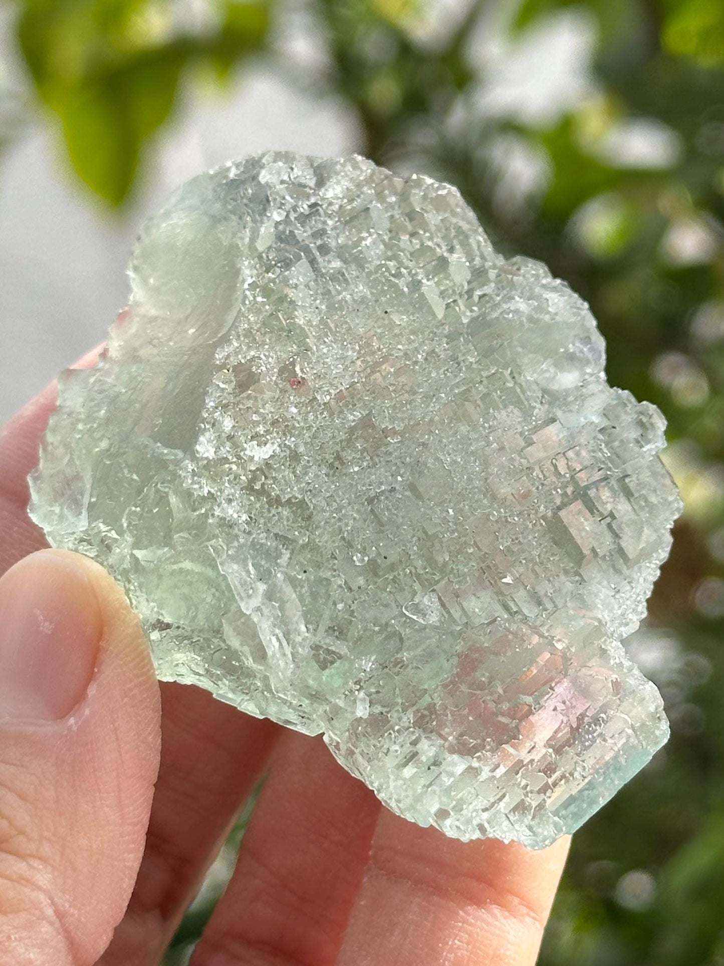 Fluorite from the Manaoshan Mine in China