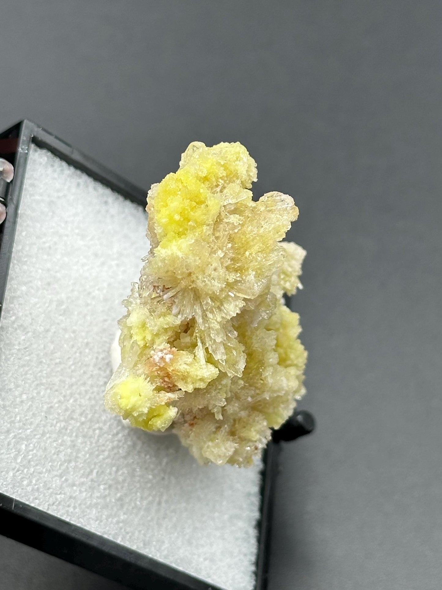 Creedite with Selenite in a perky box from Guizhou, Dachang, China