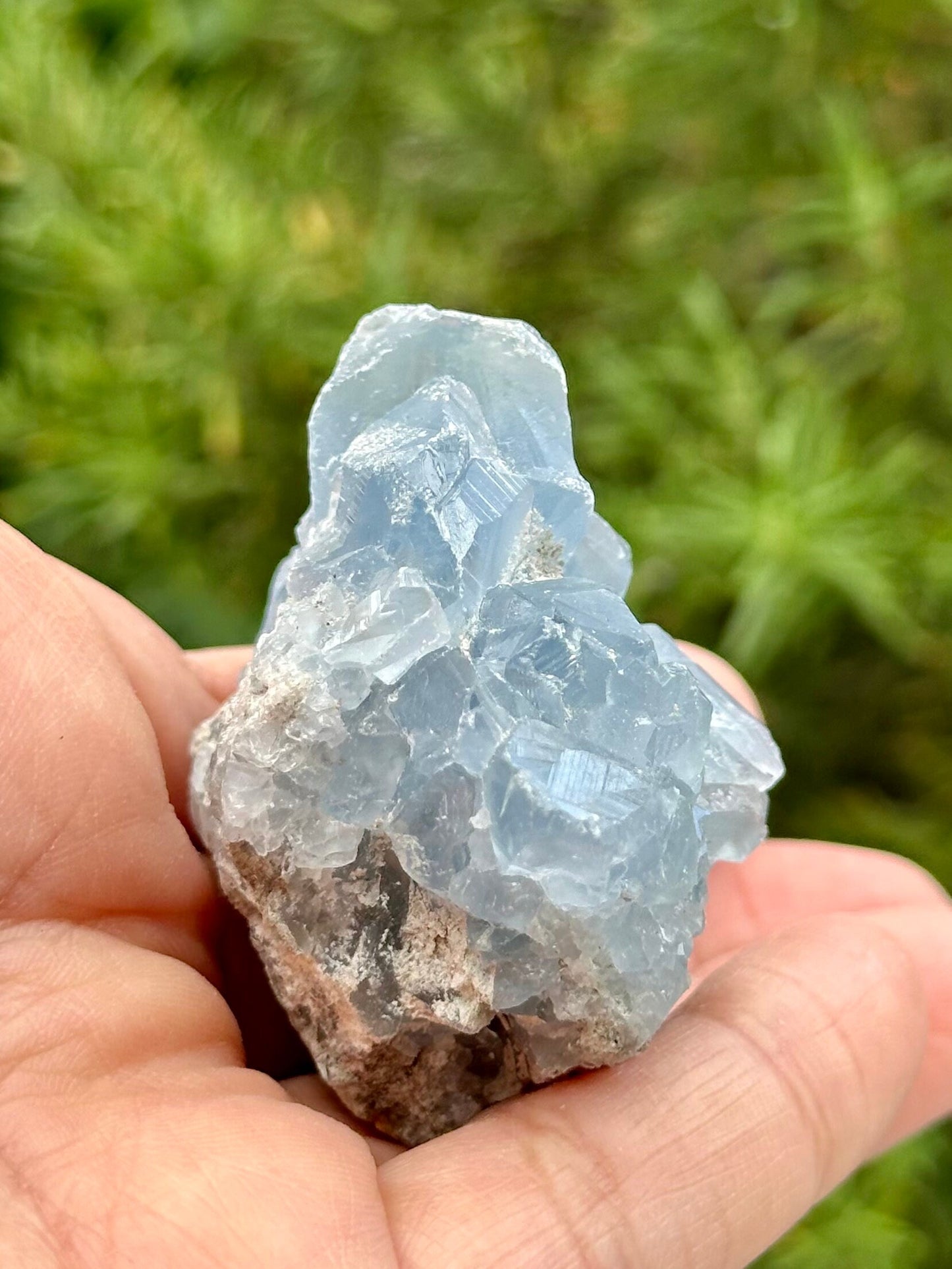Celestite Cluster