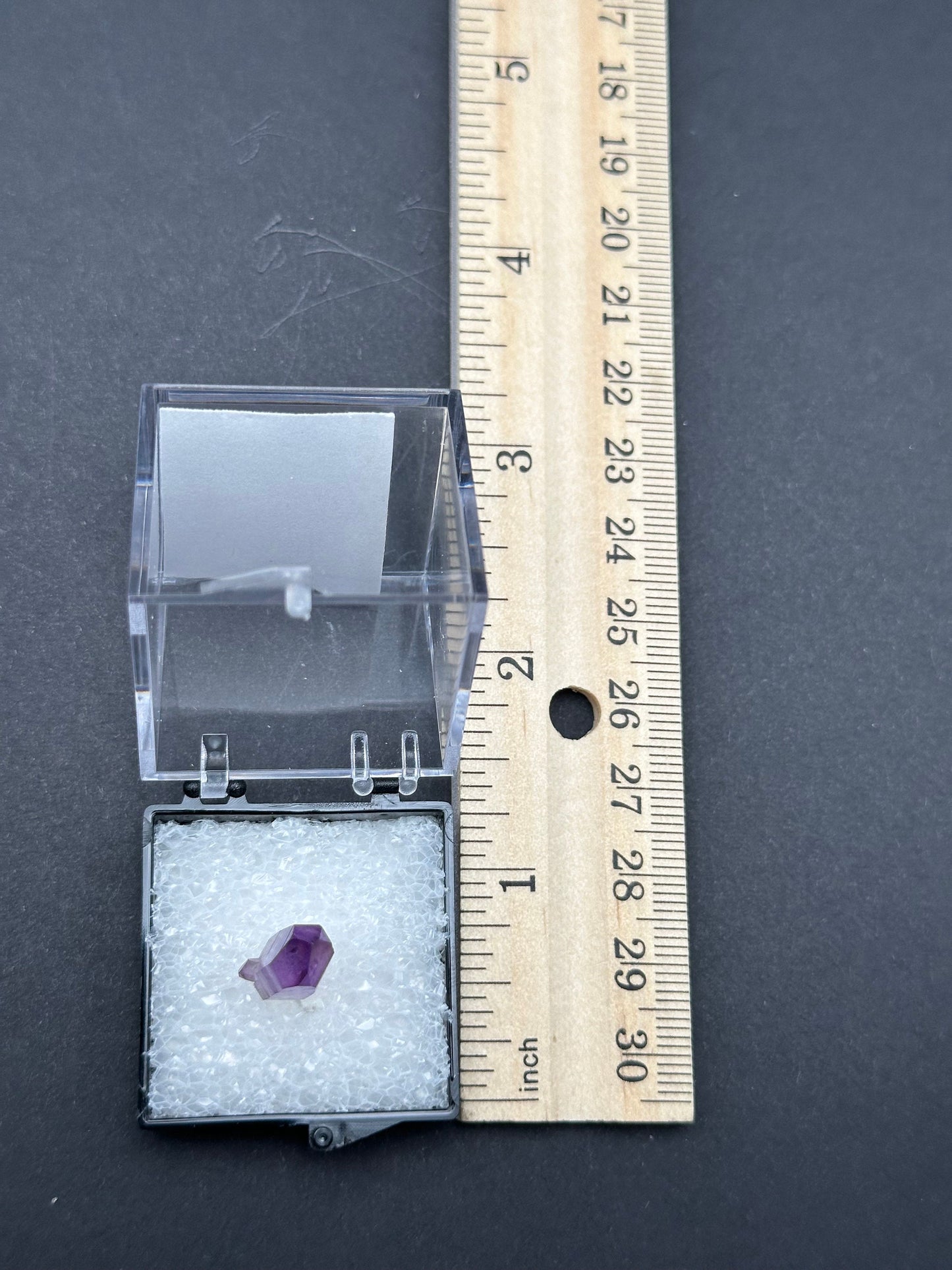 Veracruz Amethyst in a perky box