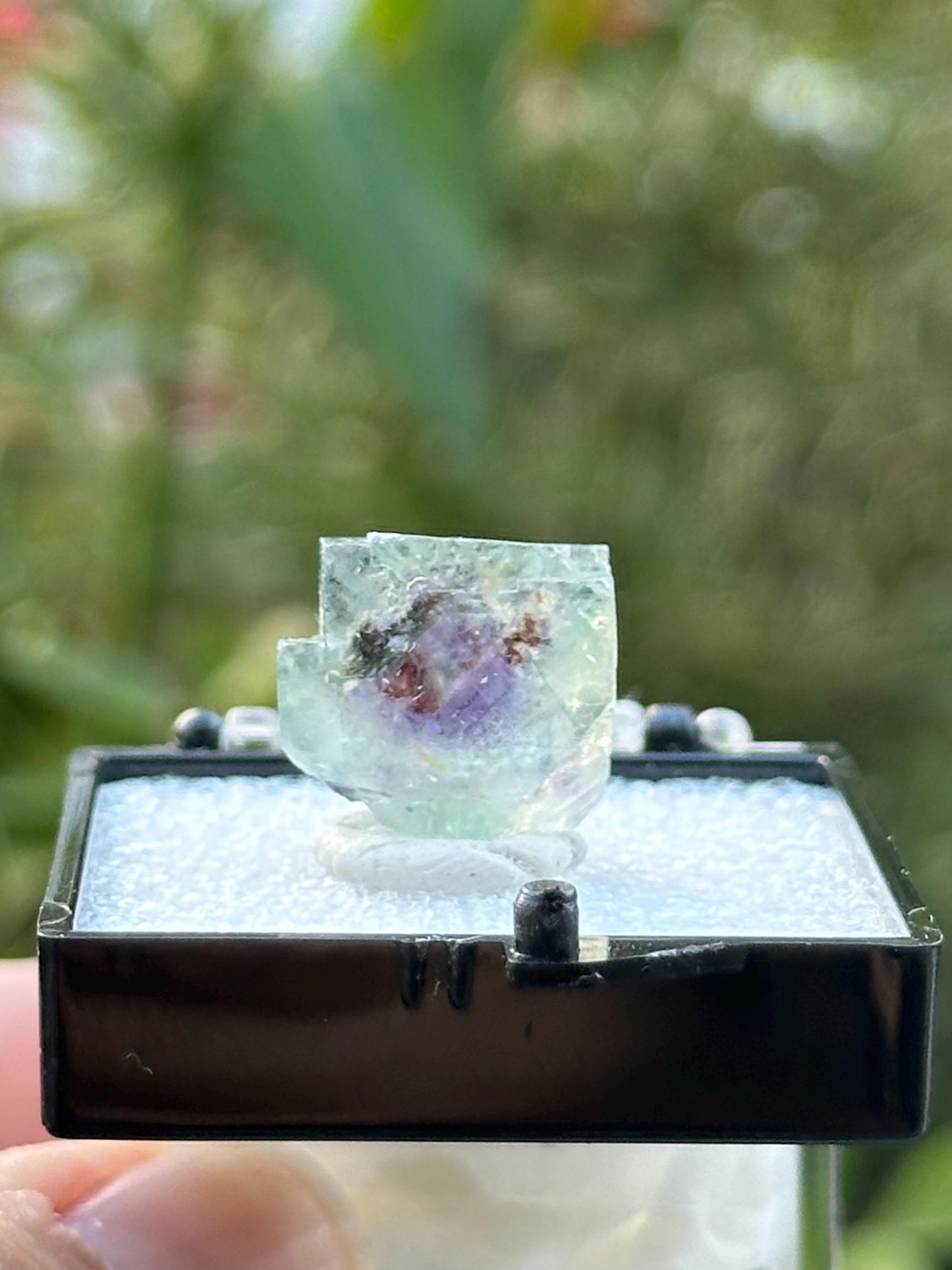 Fluorite from the Yindu Mine