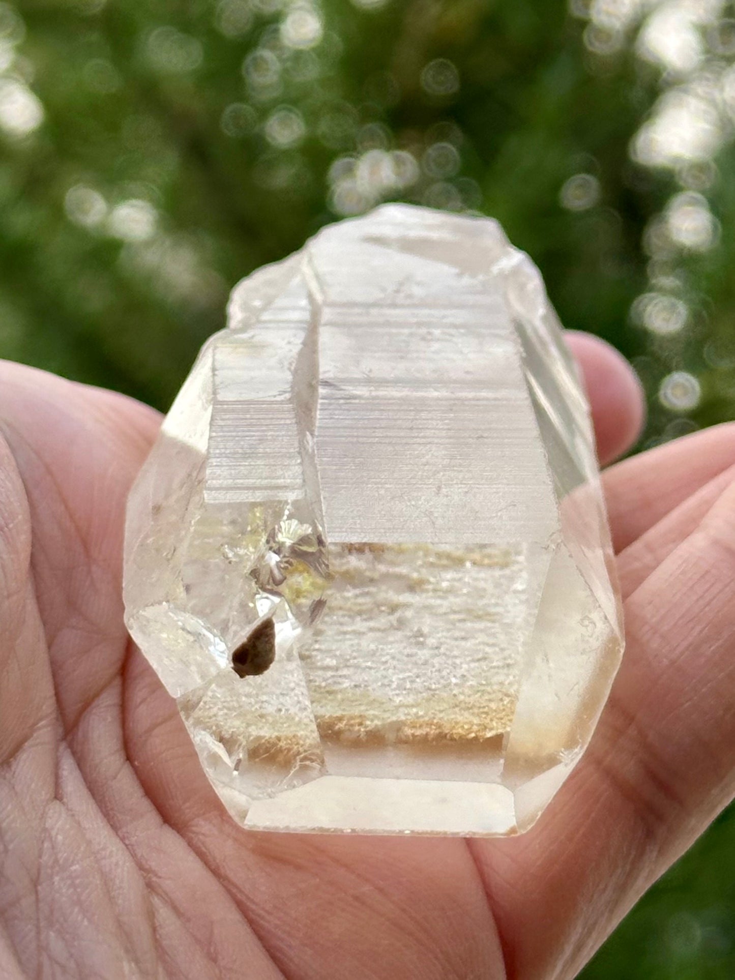 Lemurian Quartz