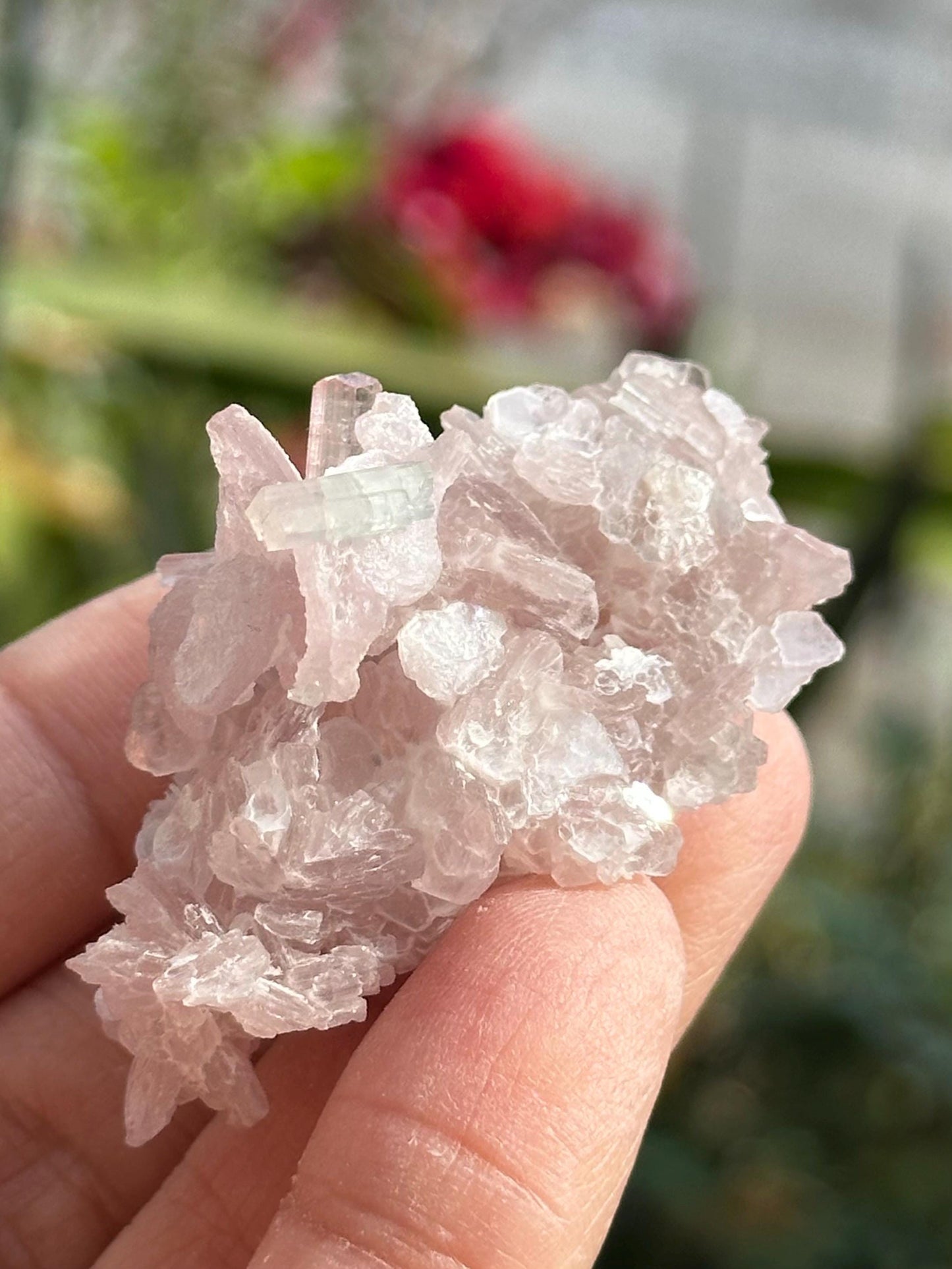 Pink Tourmaline with Lepidolite Flower