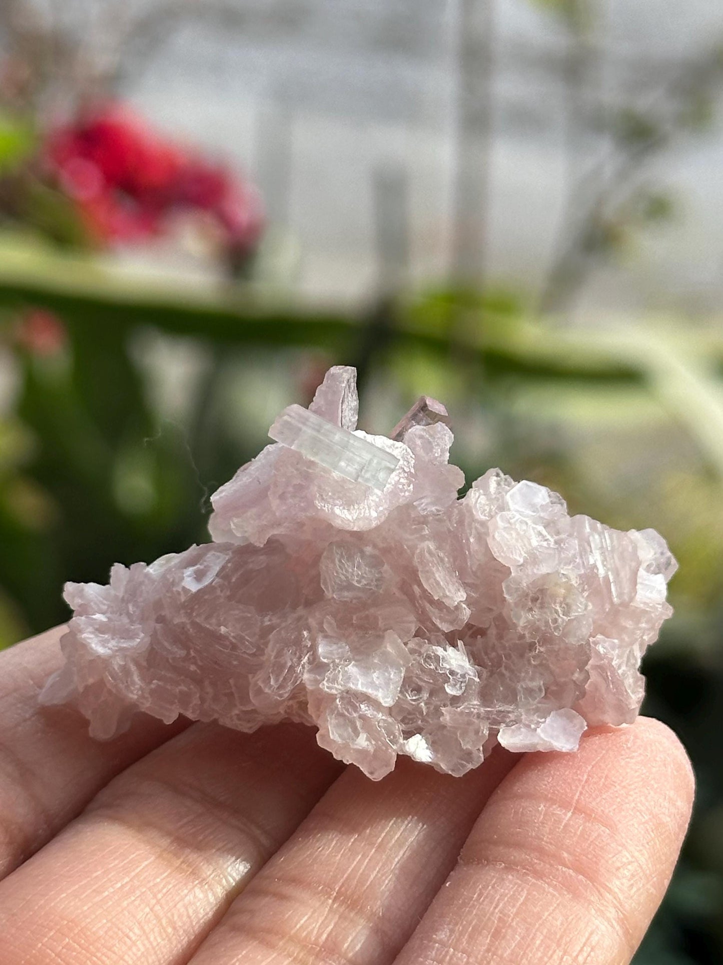 Pink Tourmaline with Lepidolite Flower