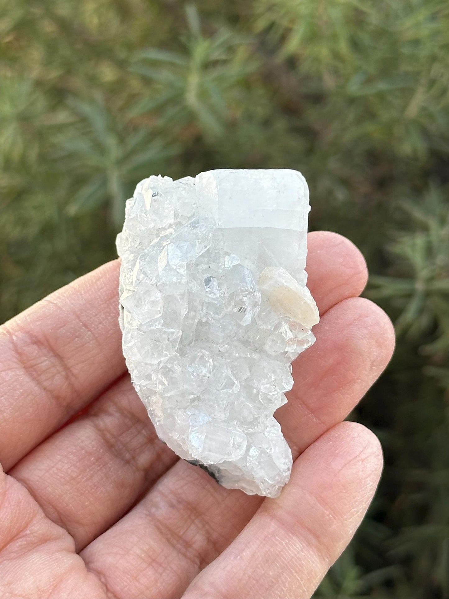 Apophyllite with Stilbite Specimen