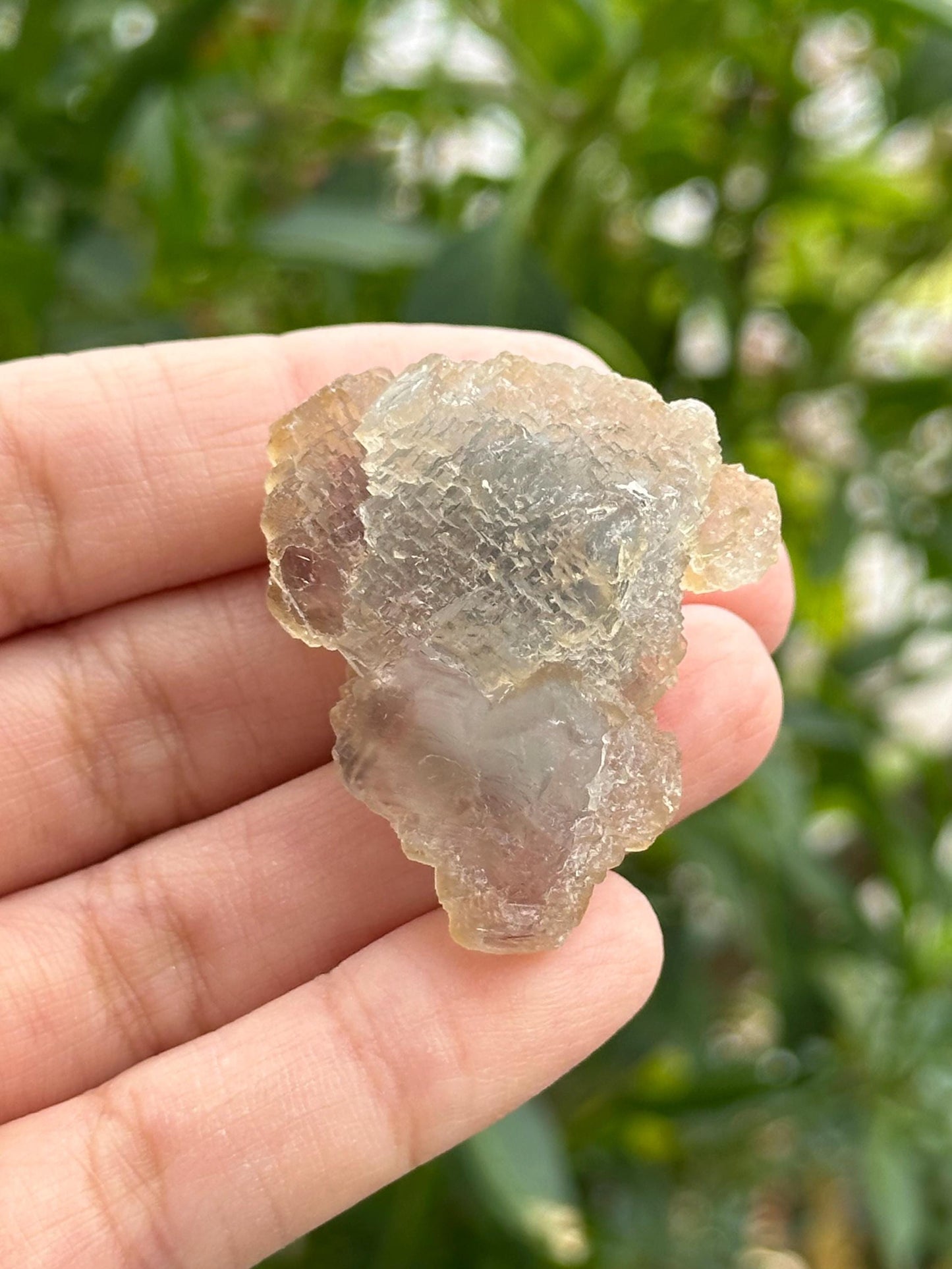 Fluorite Specimen-UV Reactive