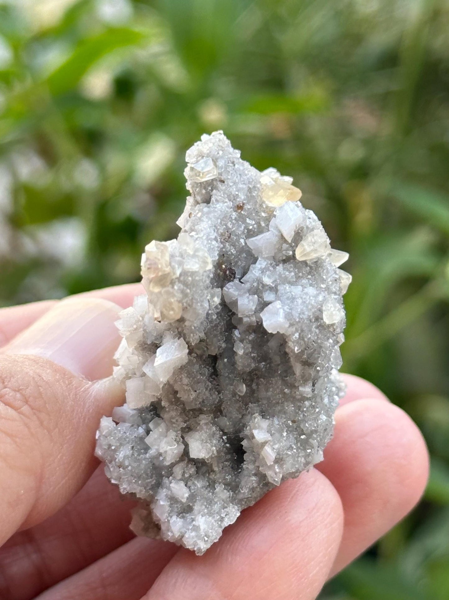 Dolomite, Quartz, and Calcite from the Elmwood Mine