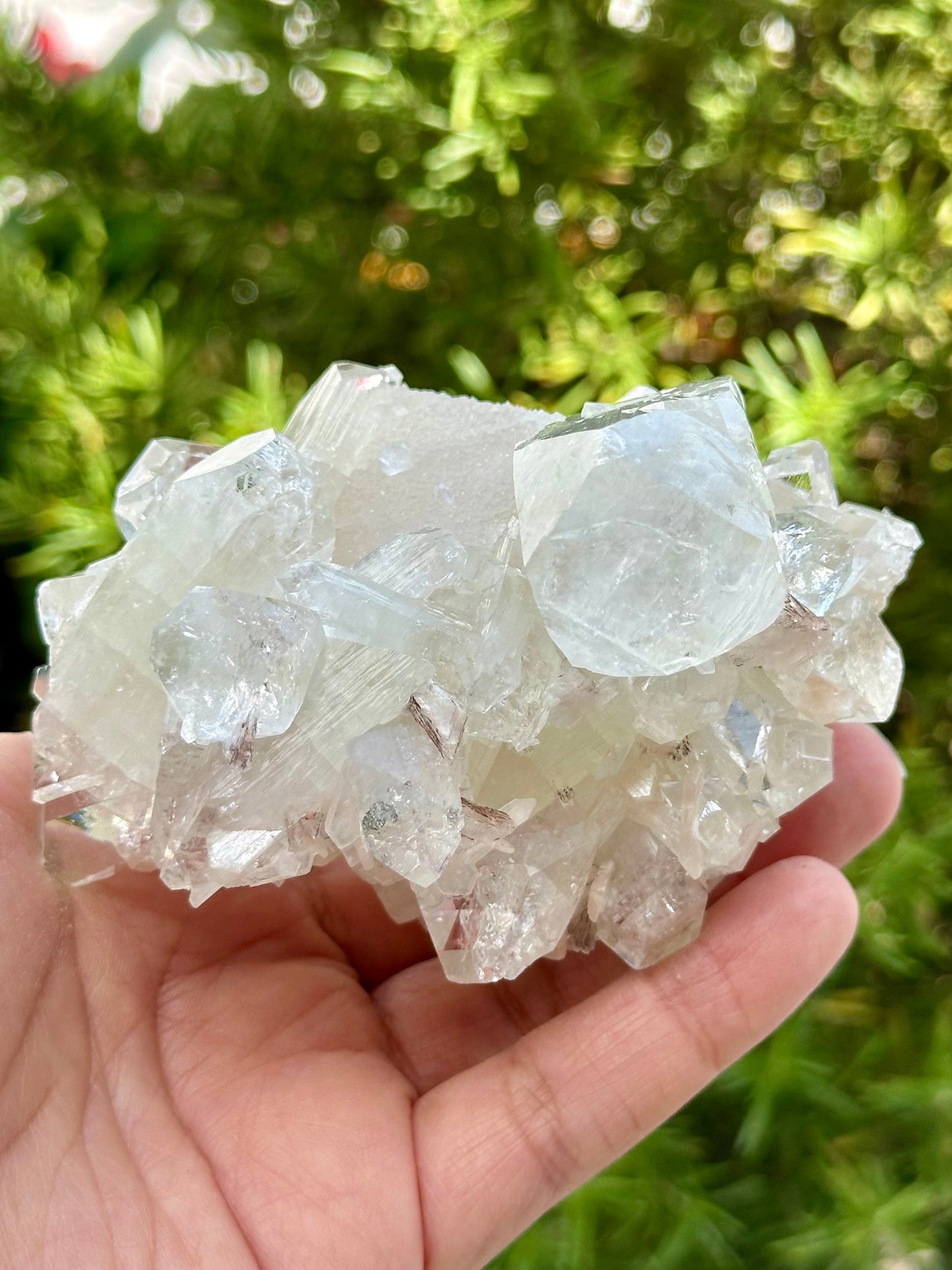 Apophyllite Specimen