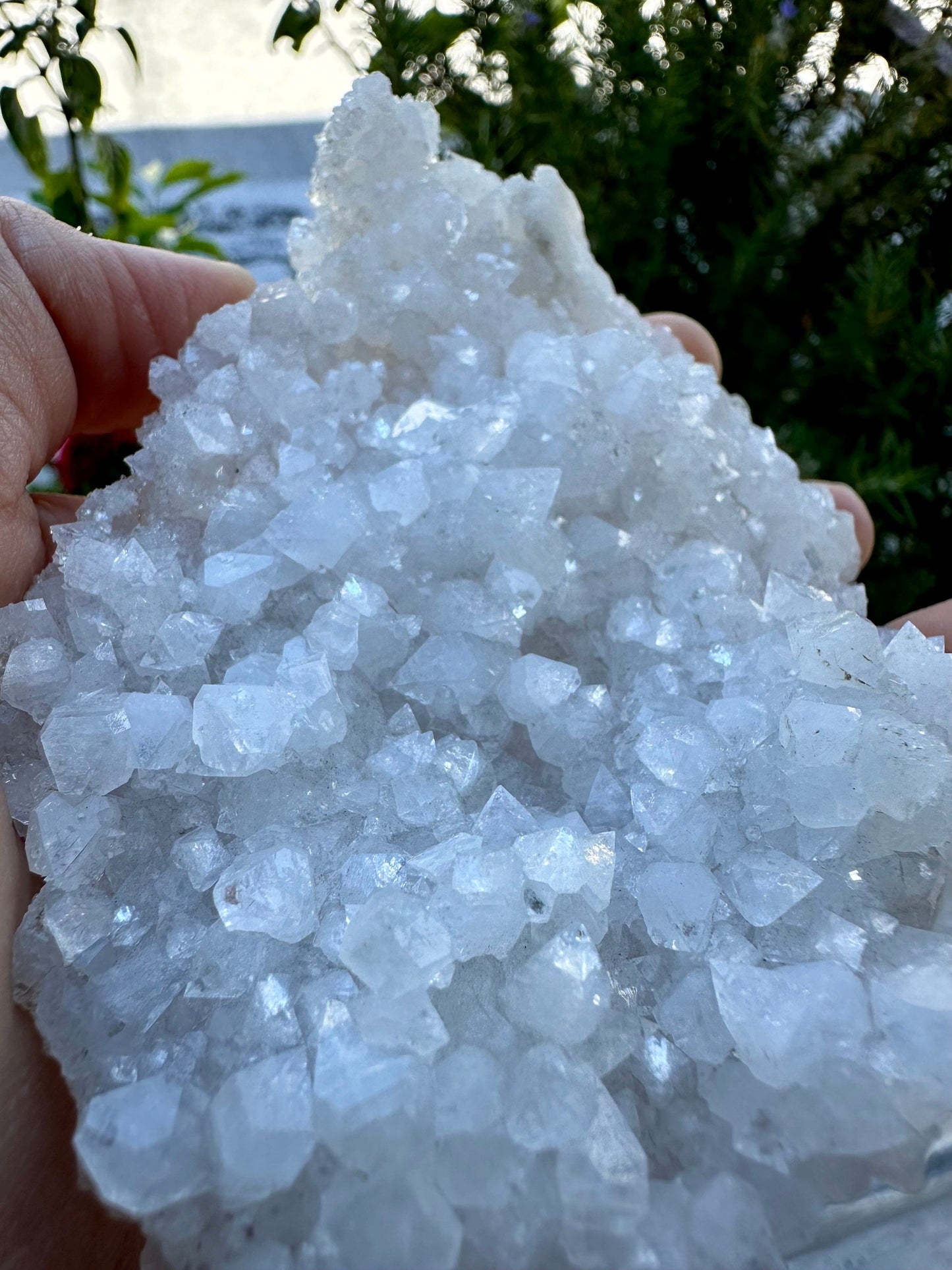 Apophyllite from India
