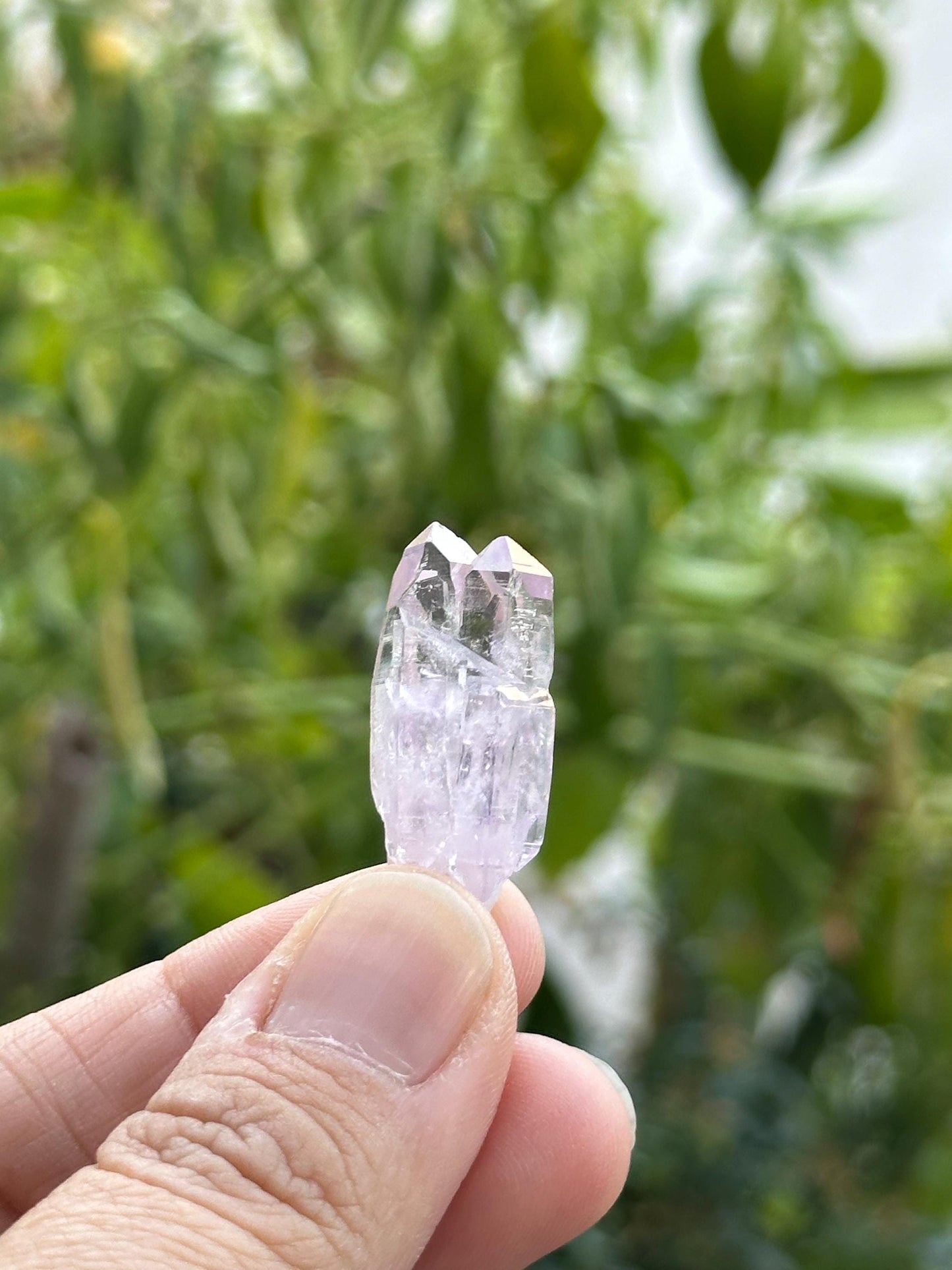 Veracruz Amethyst Crystal