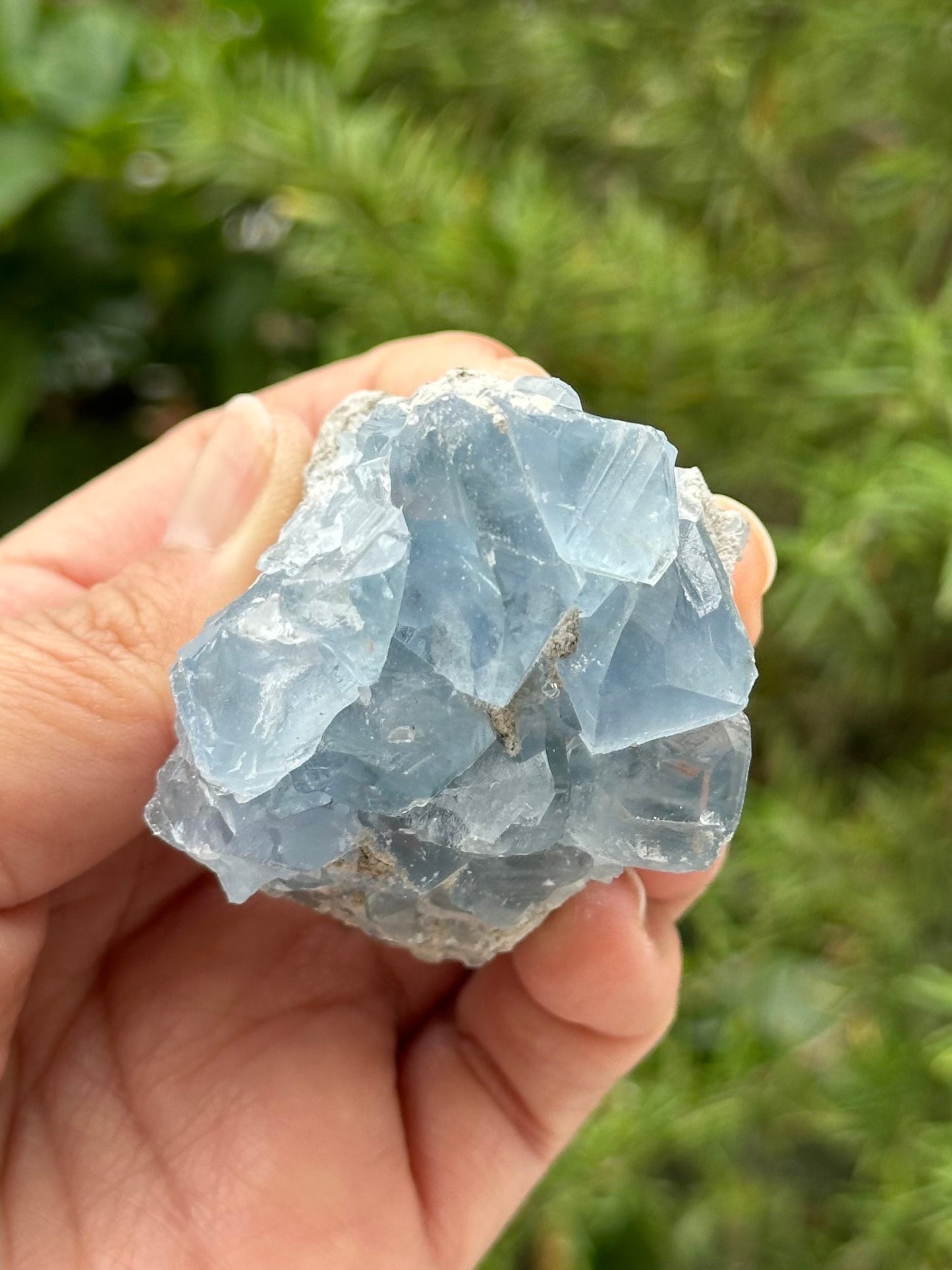 Celestite Cluster from Madagascar
