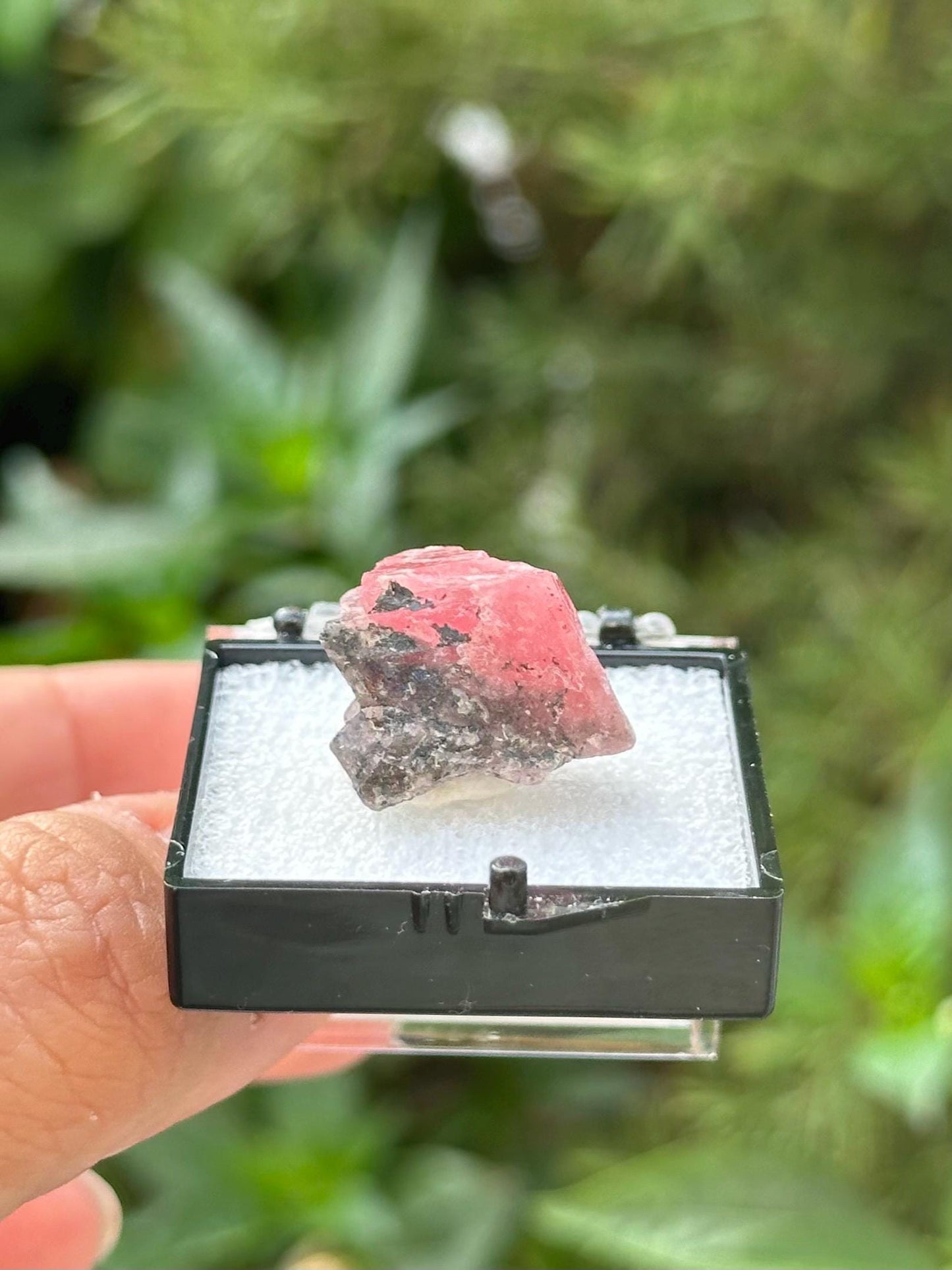 Rhodochrosite on Matrix Specimen in a perky box from Guangxi Wuzhou, China